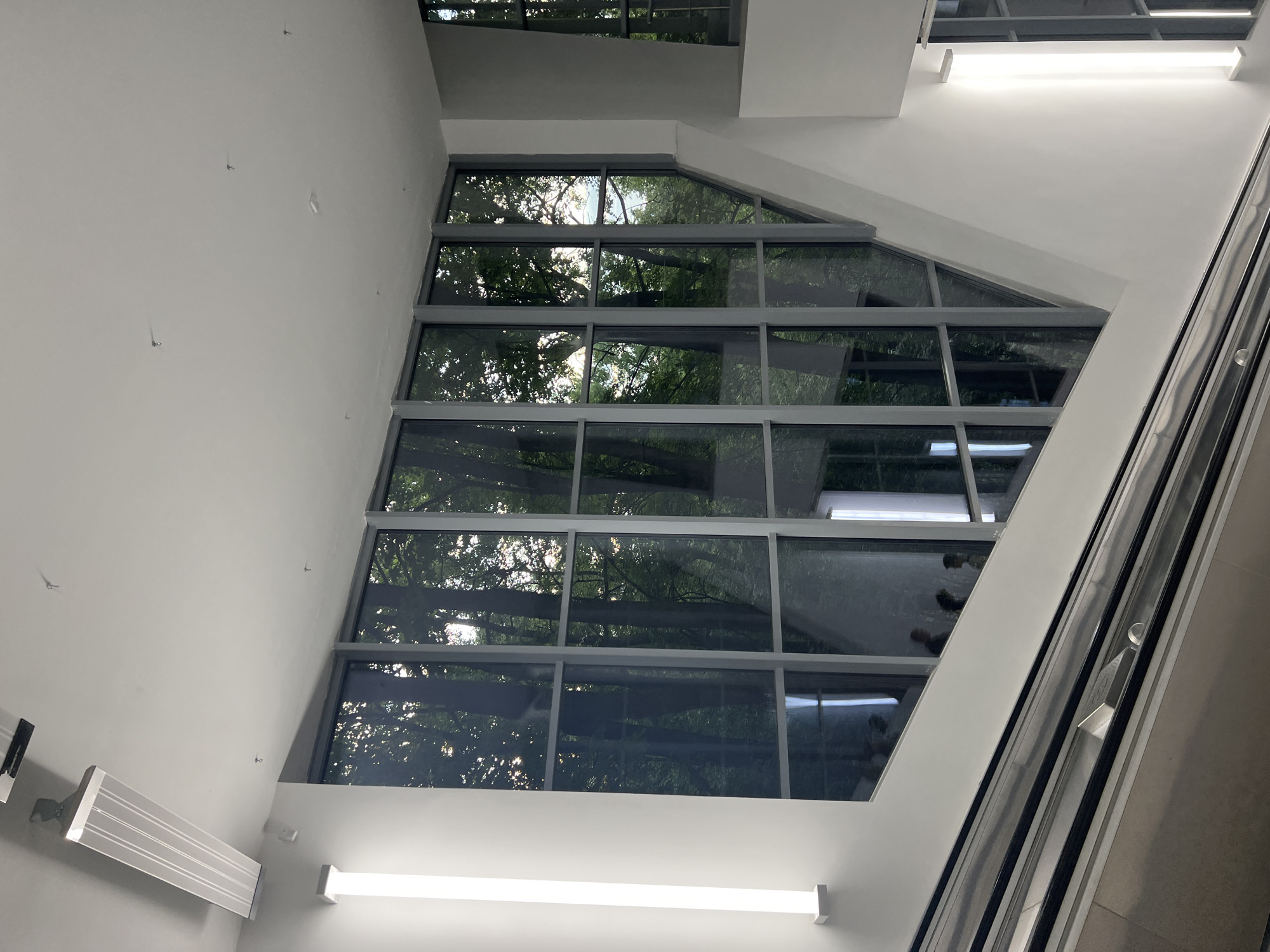An interior shot taken from an escalator shows a large, multi-paned window overlooking a forest. The window is angled and triangular, with dark gray frames. The glass reflects the interior lights and some of the people on the escalator. The interior is brightly lit with fluorescent lights on the ceiling and walls. The overall color palette is neutral with shades of white, gray, and the green of the trees.