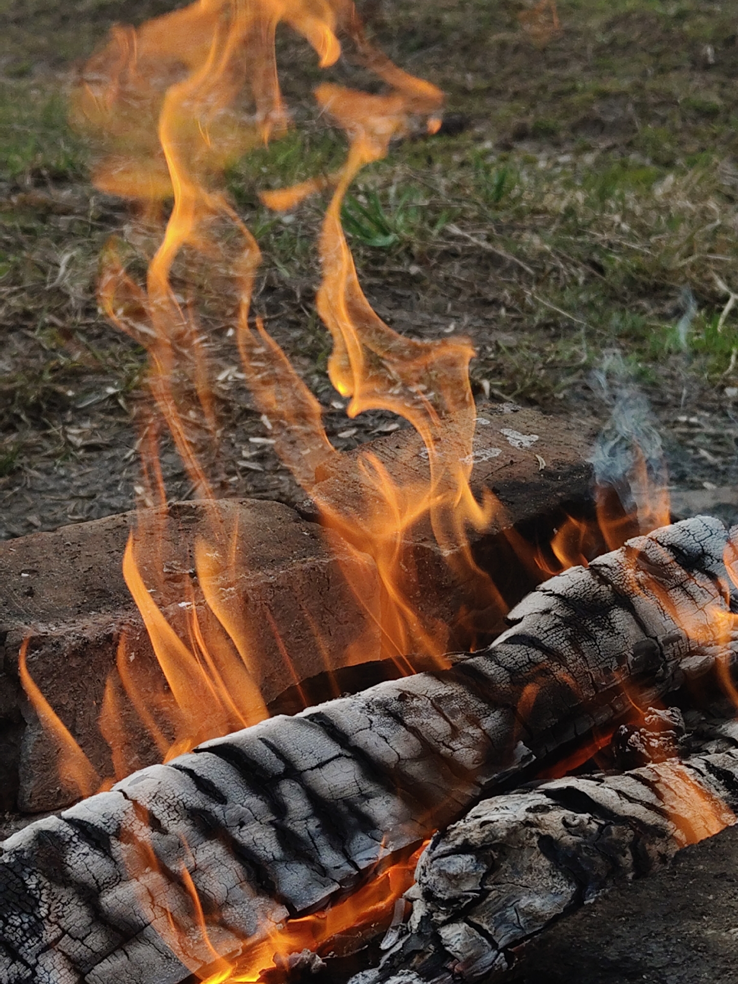 A close-up shot of a campfire scene. Two logs, heavily charred and displaying a black and white textured surface, are situated towards the bottom of the frame. Flames, primarily orange in color, rise upwards from the logs and surrounding area. The flames extend upwards towards the middle and top of the image. Behind the flames and logs, a patch of ground is visible, with sparse green grass mixed with dry, brown vegetation. There is a block of brick in this setting, to the left of the top of the logs, behind the flames. Smoke is visible rising on the right side of the frame. The specific location within the city of Unknown, Unknown, is not discernible from this image.