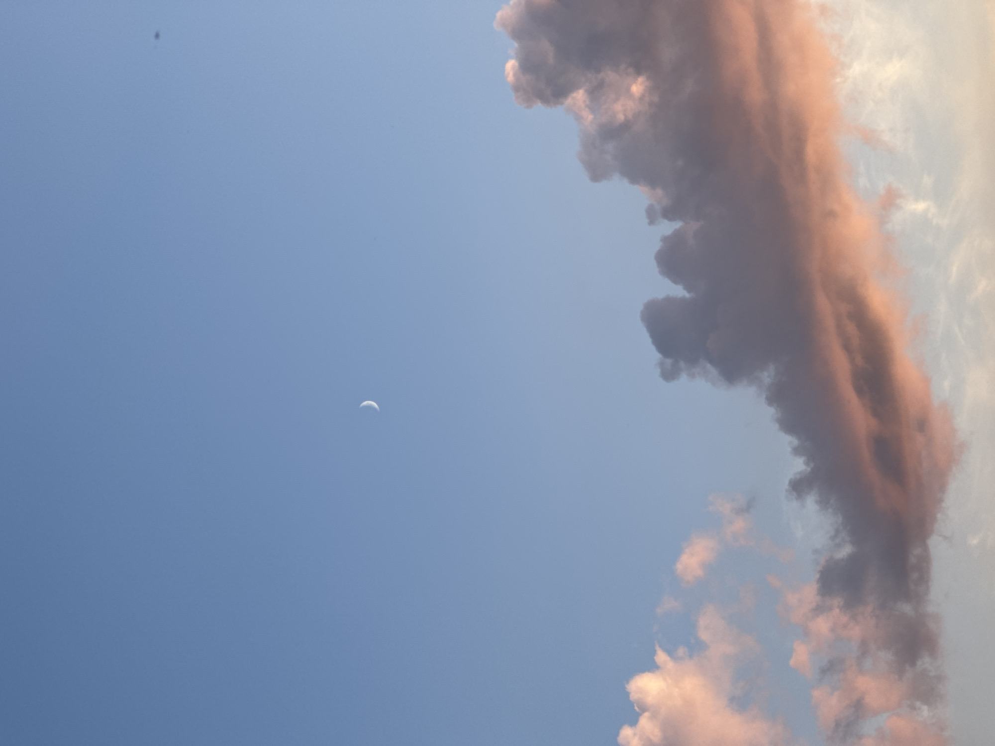 This media file is a photograph of a sky with clouds and a crescent moon. The sky is a clear blue, with large, fluffy clouds on the right side of the frame. The clouds are tinged with pink and orange, suggesting that it is either sunrise or sunset. The crescent moon is visible in the upper left quadrant of the image. There is also a small dark speck in the upper left quadrant, possibly a bird or insect, which is difficult to identify definitively. The image appears to be taken from a ground-level perspective, looking upwards. The overall mood of the image is peaceful and serene, with the soft colors of the clouds and the gentle glow of the moon contributing to this feeling. The location is identified as Bigila, Russia.