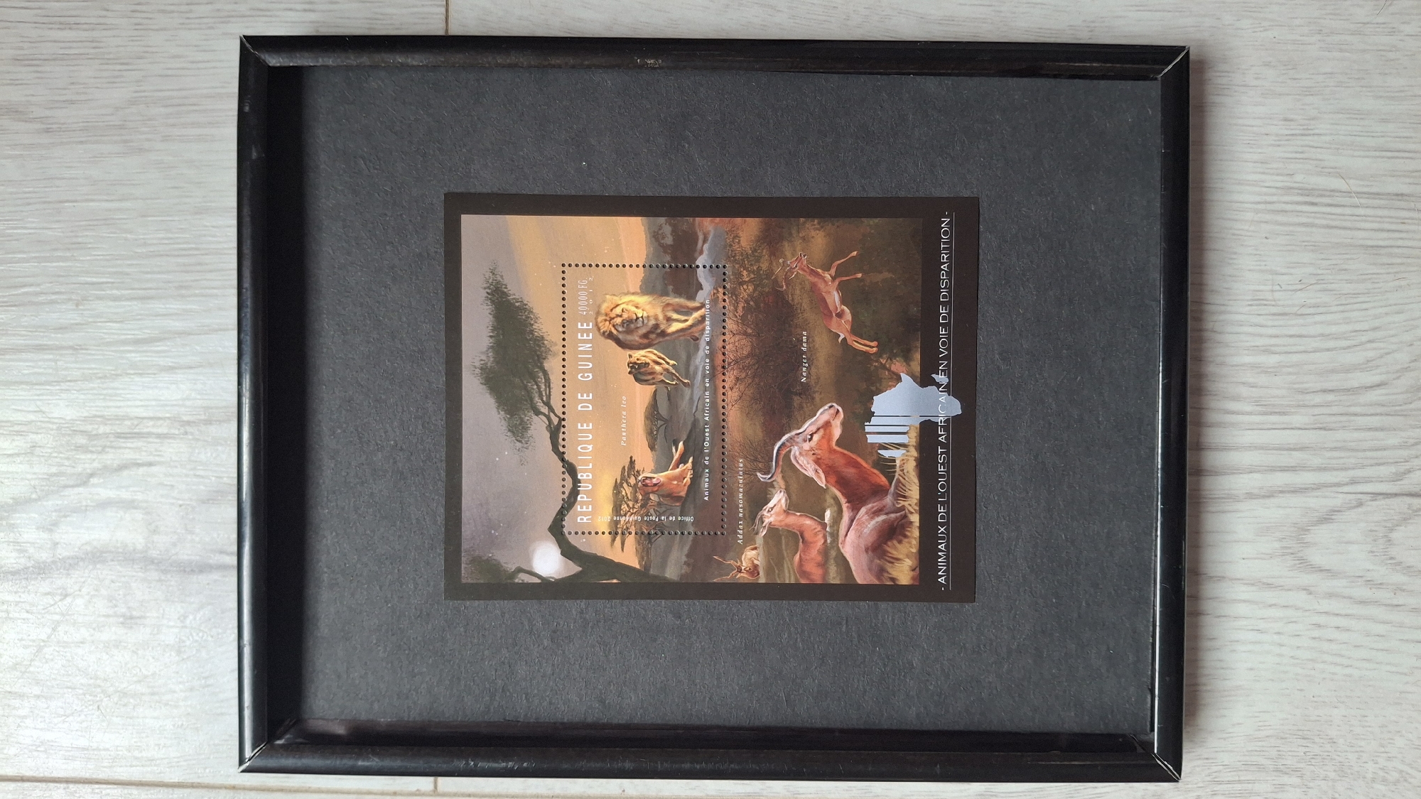 A framed commemorative stamp from the Republic of Guinea is displayed on a light wood-grain surface. The black frame surrounds a gray matte border that encloses the stamp. The stamp depicts a scene of African wildlife against a stylized sunset backdrop. The stamp is printed with the words "REPUBLIQUE DE GUINEE," a monetary value, the scientific name for a lion ("Panthera leo"), and the common name of a gazelle ("Nanger dama"). It also contains the phrase "- ANIMAUX DE L'OUEST AFRICAIN EN VOIE DE DISPARITION -" (Animals of West Africa in danger of disappearing). A small tear or damage is visible in the lower right corner of the stamp. The image does not show any evidence of the city of Pleven, Bulgaria.