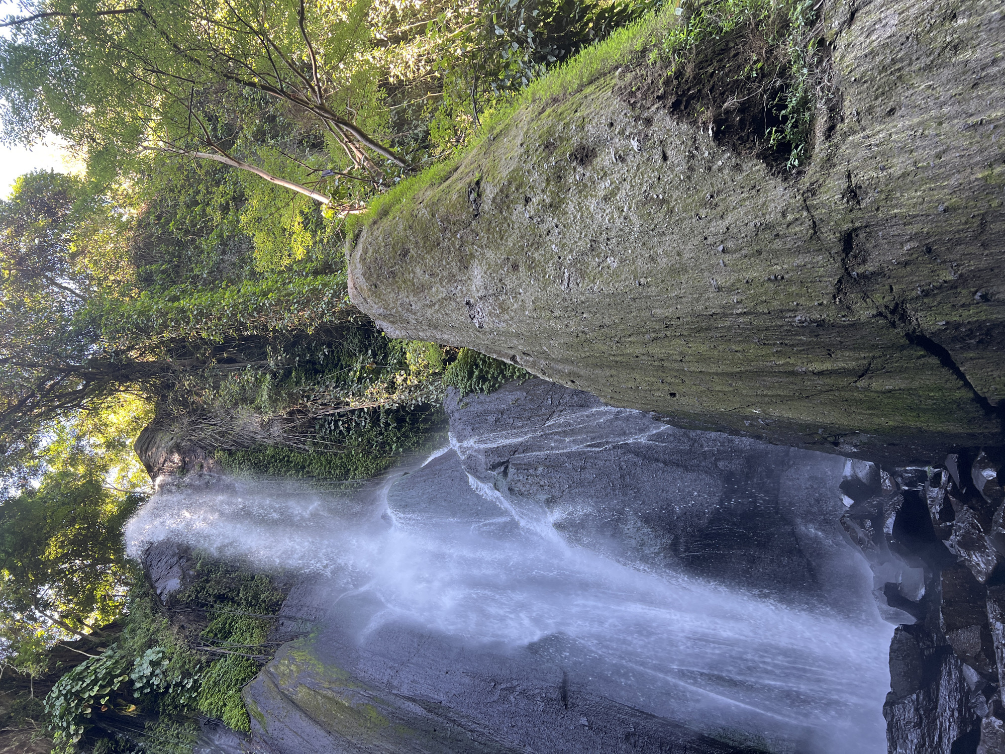 The image shows a tall, thin waterfall cascading down a dark, rocky cliff face covered in lush green moss and vegetation. The water is illuminated by sunlight filtering through the dense canopy of trees that surrounds the waterfall. In the foreground, a large, moss-covered boulder juts out from the right side of the frame, partially obscuring the waterfall. The base of the waterfall is rocky and appears wet from the spray. The environment is a natural jungle setting, characteristic of the Busungbiu region in Indonesia, known for its scenic waterfalls and lush tropical landscapes. No people are visible in the image.