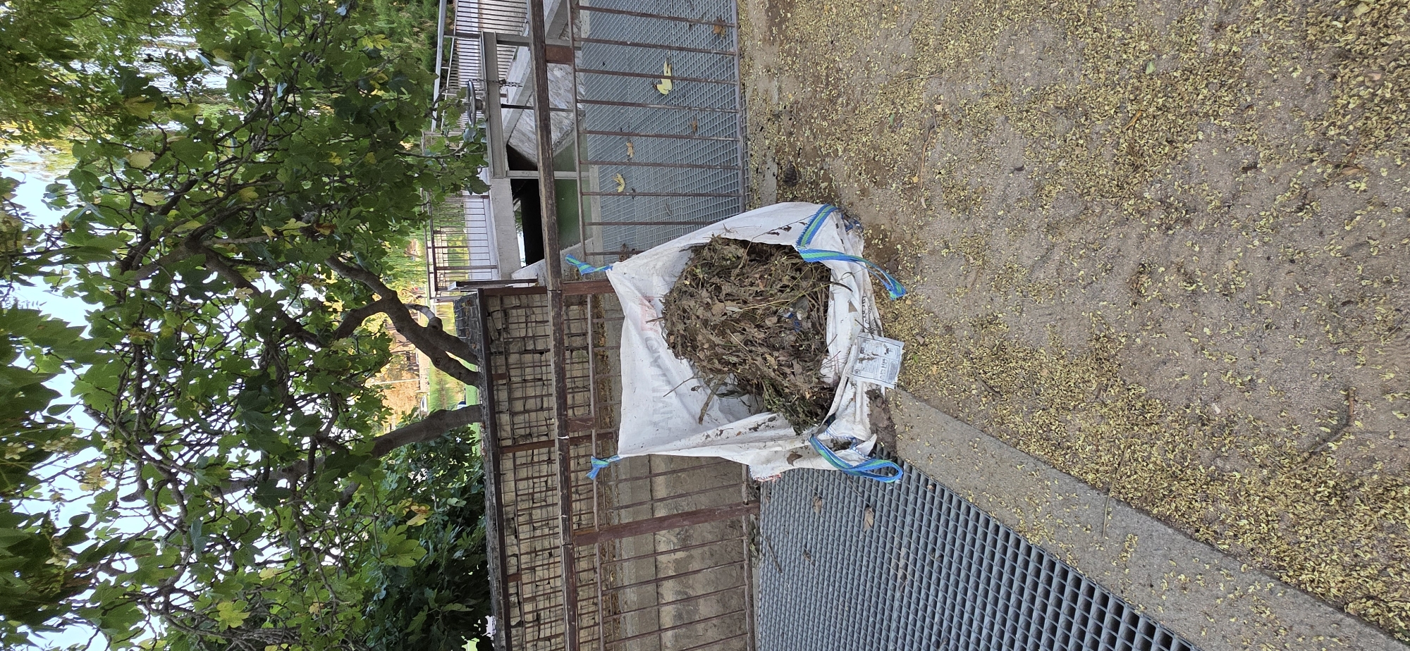 The image shows a large white bag filled with plant debris, such as leaves and twigs, placed on a metal grate next to a concrete walkway covered in fallen yellow leaves. The bag is secured with blue ropes. Behind the bag, there is a metal fence and a stone wall. Further in the background, a body of water is visible, with a bridge and railings leading to it. Trees with green leaves are also present, casting shadows. The scene appears to be in an outdoor urban setting, possibly a park or a waterfront area. The location is identified as Huesca, Spain, though no specific landmarks within the city are clearly visible. There are no people depicted in the image.