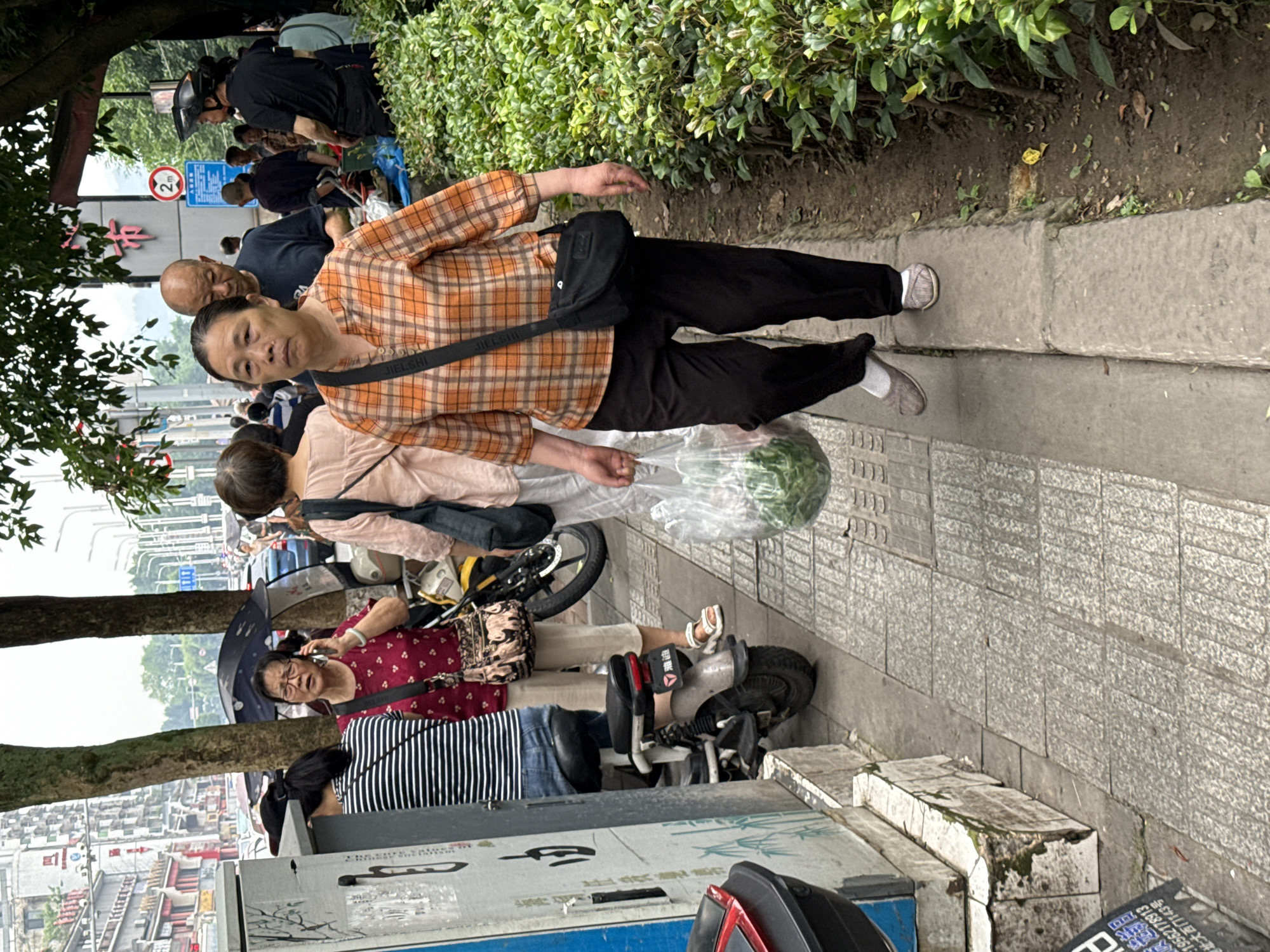This image captures a street scene in Jiangjin, China, on an overcast day. In the immediate foreground, a middle-aged East Asian woman with dark hair tied back walks towards the viewer. She wears an orange and brown plaid collared shirt with three-quarter sleeves, black trousers, and light grey flat shoes. In her left hand, she carries a clear plastic bag containing green leafy vegetables. A black cross-body bag is slung over her right shoulder. She is stepping from a grey paved sidewalk down onto a lower, narrow dirt path lined with green bushes to her right.
Behind this woman, further down the sidewalk, an older bald East Asian man in a dark blue t-shirt walks, looking down and to his right. To the left of the main subject, a grey utility box with blue trim and black markings stands next to the sidewalk. An electric scooter, grey with a black seat and a red "YADI" (雅迪) logo on its rear fender, is parked behind the utility box.
Further into the mid-ground, a woman wearing a red polka-dot shirt, beige pants, and white sandals stands next to another electric scooter, speaking on a dark-colored smartphone held to her right ear. She wears glasses and has a patterned shoulder bag. Partially visible behind her is another woman in a black and white striped shirt, facing away from the viewer.
The background shows a busy street or market area. Two large trees with dark trunks anchor the mid-ground, providing shade over the sidewalk. Beyond them, multi-story buildings line the street. Several individuals are visible in the background, including a man in a black t-shirt and a black helmet on the far right, standing near what appears to be a stall or vendor setup. Chinese characters are visible on signs, including a red circular sign with "2m" indicating a height restriction, and a prominent red sign with a character that suggests a market ("市"). The sky is uniformly light grey, indicating an overcast condition. The paved sidewalk features a textured section near the utility box, and the dirt path has sparse small plants and fallen leaves.