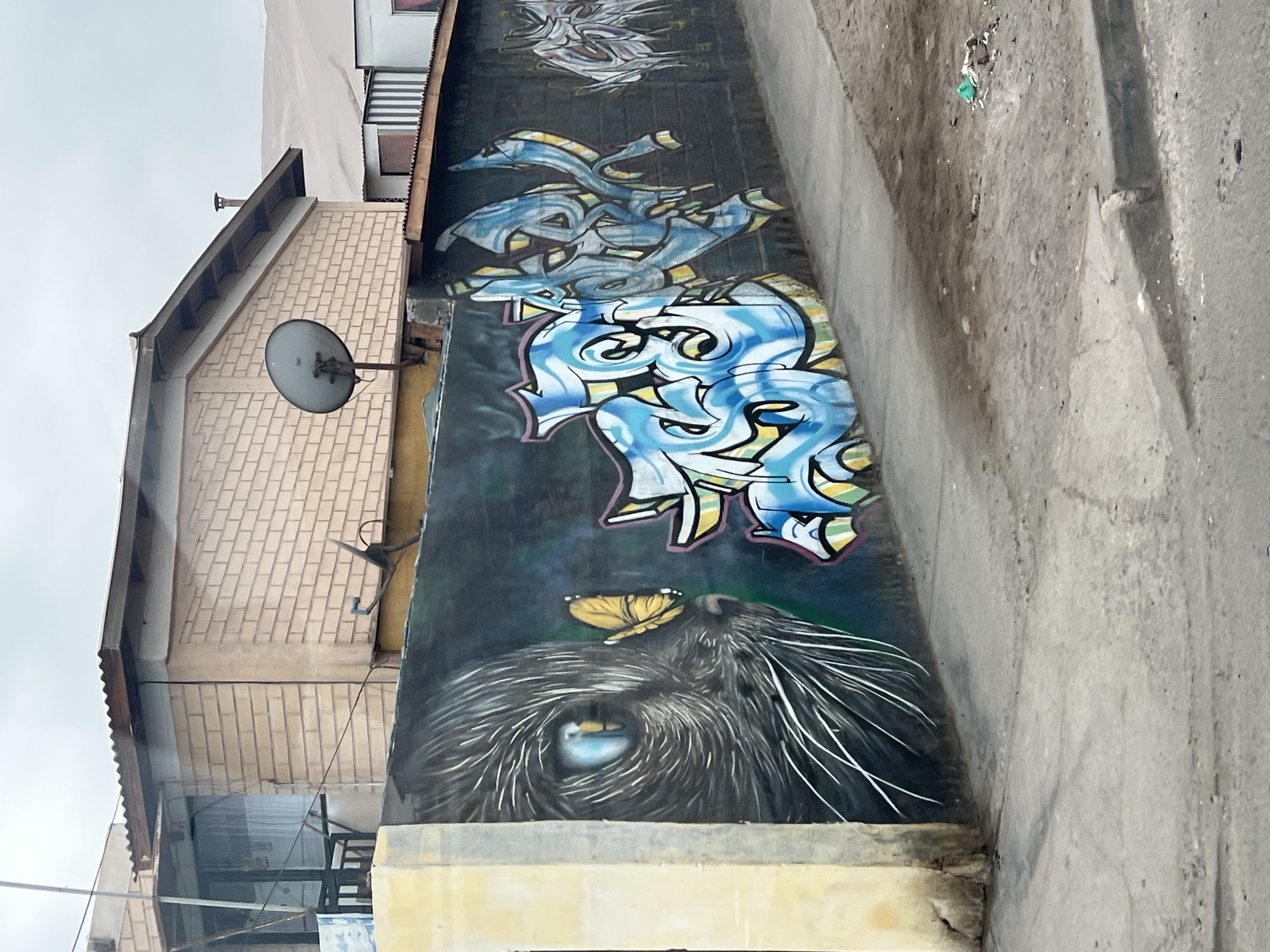 A low-angle, outdoor shot shows a brick building to the left and a concrete wall covered in graffiti to the right, likely in Arica, Chile. The graffiti depicts a close-up of an eye with wispy fur around it, topped with a yellow butterfly. Above the eye, there is graffiti in shades of blue, white, and yellow that appears to be stylized writing. Above that are more graffiti-style drawings, also in shades of blue. The brick building has a satellite dish attached to its side. A narrow concrete pathway runs along the side of the graffiti-covered wall. The sky is overcast.