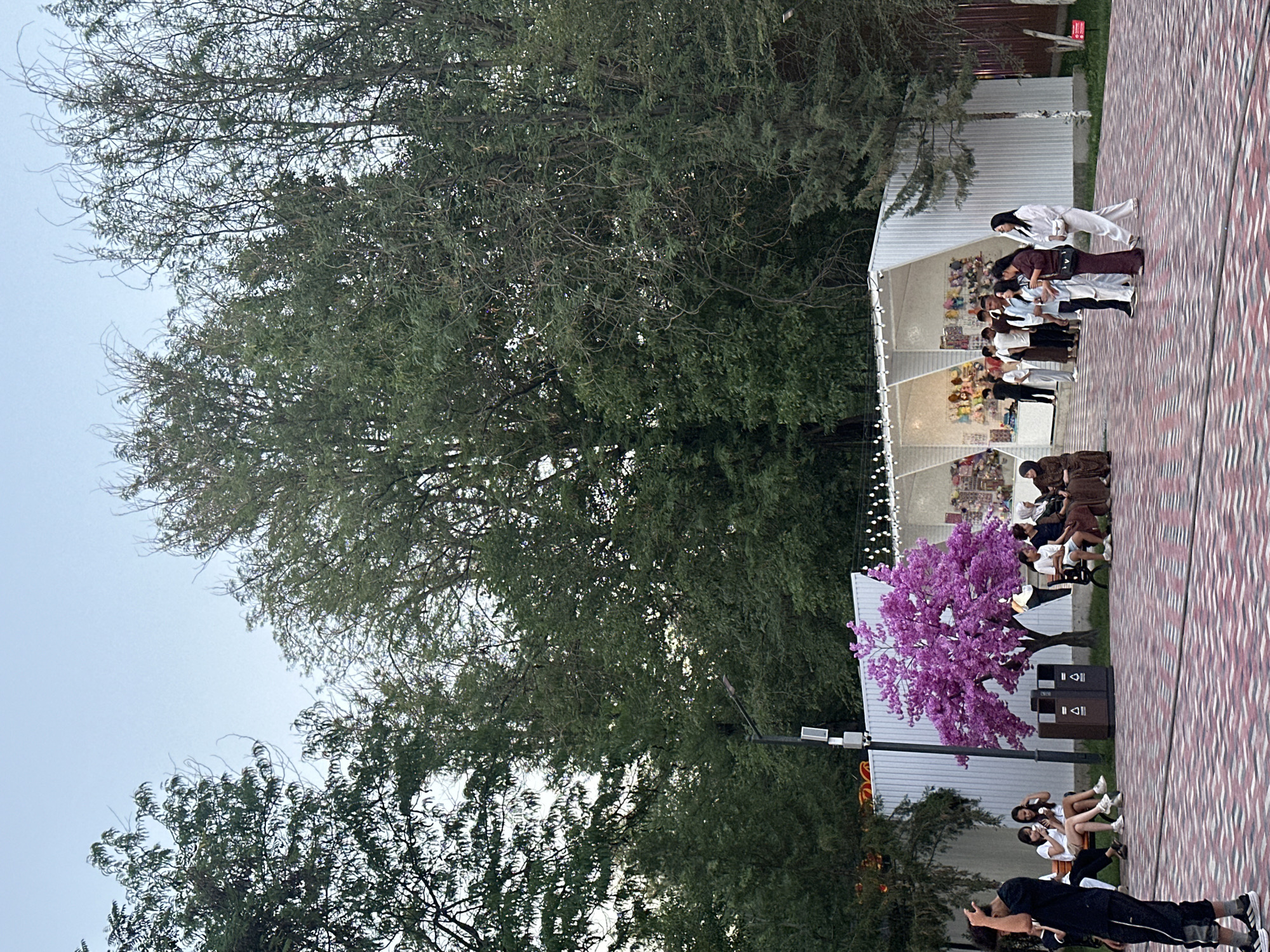 This media file depicts an outdoor event in Manas, Kyrgyzstan, likely in the late afternoon or early evening given the soft lighting. The scene is set in an open area with a patterned tiled walkway. In the background, a white tent structure is visible, adorned with string lights.
The main subjects are a group of people engaged in what appears to be a martial arts demonstration or practice. Several individuals are dressed in traditional white martial arts uniforms, some with colored belts. They are positioned in a line, suggesting a formal presentation or lesson. Other individuals are seated in the background, observing the activity.
Notable details include a vibrant artificial purple tree, adding a touch of color to the setting. Two dark-colored trash receptacles are also present. The overall atmosphere seems to be one of focused activity and polite observation. The presence of trees and the outdoor setting suggest a park or a public gathering space. No visible text is present in the image.