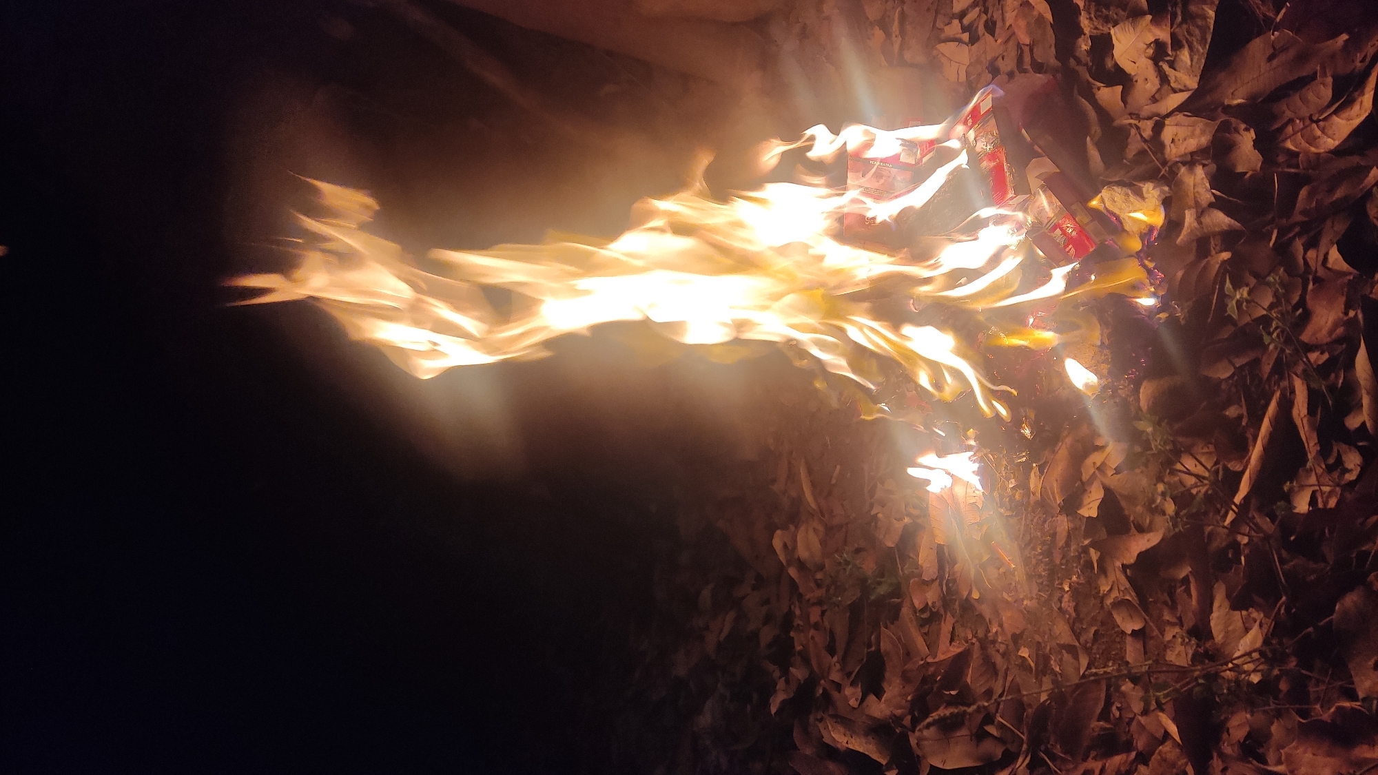 A bonfire burns in Ngadiharjo, Indonesia. The fire is fueled by dried leaves and what appear to be paper products, possibly books or boxes. The flames are bright yellow and orange, casting a warm glow on the surrounding dry leaves and a small tree trunk visible on the right side of the frame. The scene is dark, suggesting it is nighttime. There are no people visible in the image.