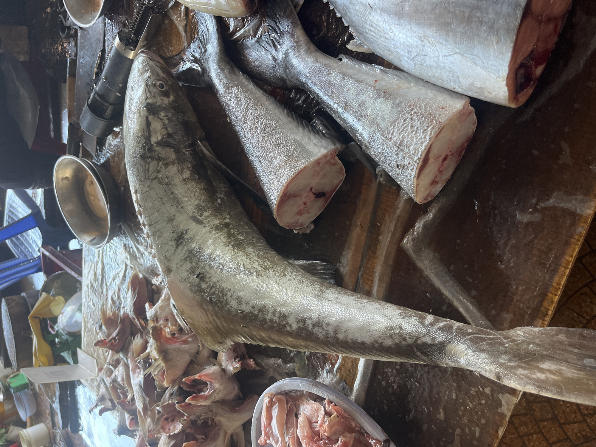 Captured at a market in Bắc Nha Trang Ward, Vietnam, the image presents a close-up of a fishmonger's display. A whole, elongated silver fish lies across the center of the frame, accompanied by several severed fish tails, their flesh exposed. Various metal bowls and butchering tools are scattered nearby. Fish scraps and pieces fill a white plastic container on the left and right, adding to the scene of raw, fresh seafood being processed for sale. The background exhibits signs of a bustling market environment.