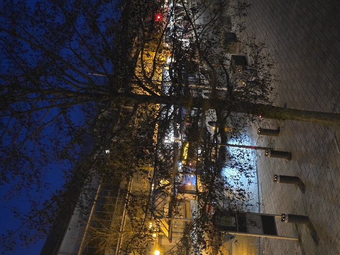 The image depicts an urban street scene at night in Zweibrücken, Germany. A large deciduous tree with dark, sparse foliage occupies the central foreground and midground, silhouetted against background illumination. The ground consists of light-colored pavers. Four dark, cylindrical bollards with illuminated or reflective tops are arranged in a diagonal line across the midground, with a light-colored pole supporting a dark, rectangular sign to their left. In the background, a multi-story building with a reflective or glass facade is brightly lit from within, displaying numerous illuminated windows. Reflections of these lights, along with warm yellow streetlights, are visible on a wet or reflective surface in the midground. A large vehicle, possibly a bus, with illuminated windows and a bright yellow light, is partially visible behind the tree on the left. A faint red light, consistent with a traffic signal, is discernible in the upper right background through the tree branches. The sky is a deep blue, characteristic of nighttime. No individuals are present in the scene.