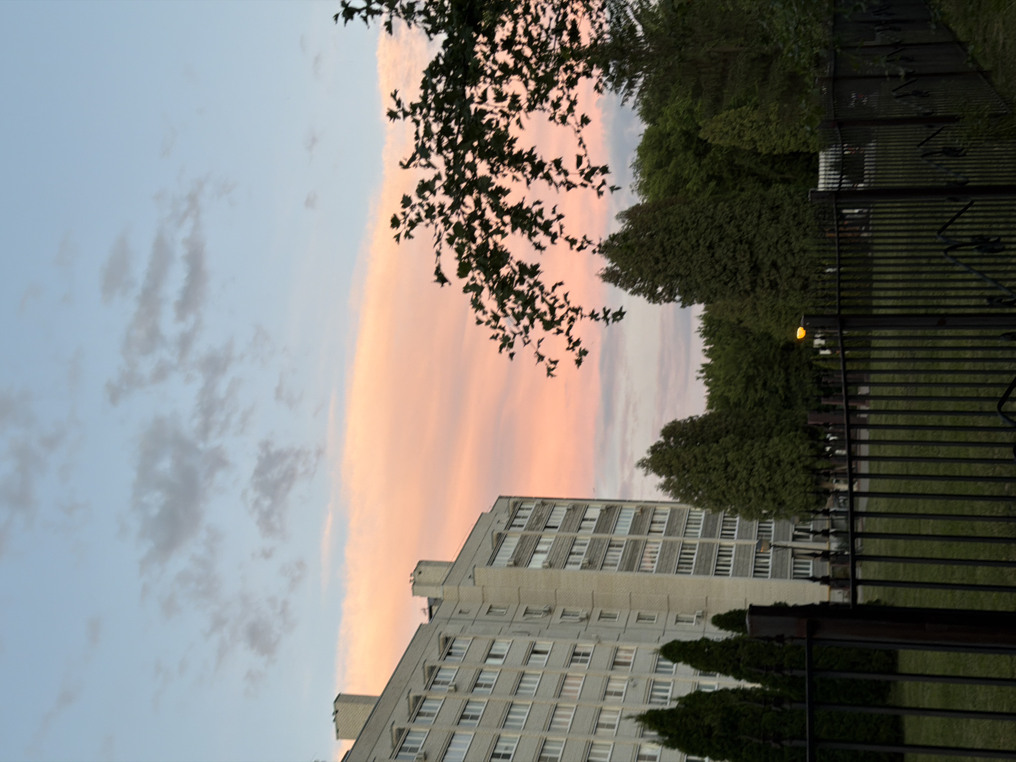The image depicts an apartment building in Semiluki, Russia, against a backdrop of a pastel sky with soft clouds tinged with pink and orange. A dark metal fence runs across the foreground, with a patch of green grass visible behind it. Several evergreen trees of varying heights are scattered around the building and behind the fence, interspersed with deciduous trees. The building itself is light-colored and appears to be residential, with numerous windows and balconies. In the middle distance, a street light with an orange glow is visible. The overall scene suggests an urban or suburban environment during either sunrise or sunset.