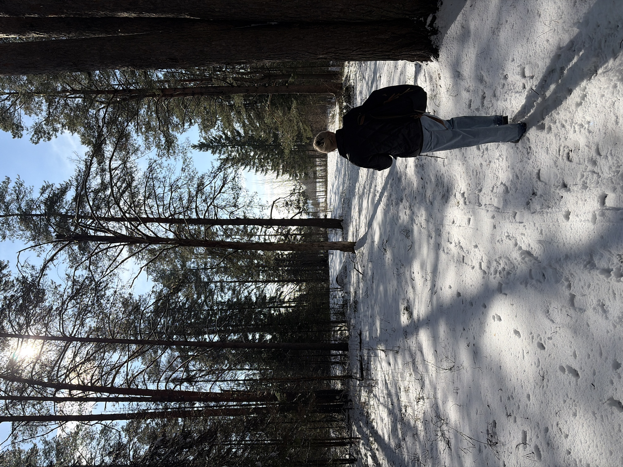 A person stands in a snowy forest in Прикамский, Russia. The person wears a dark jacket and light-colored pants. Trees surround the person, and their shadows stretch across the snow. The sun is shining, visible through the branches.
