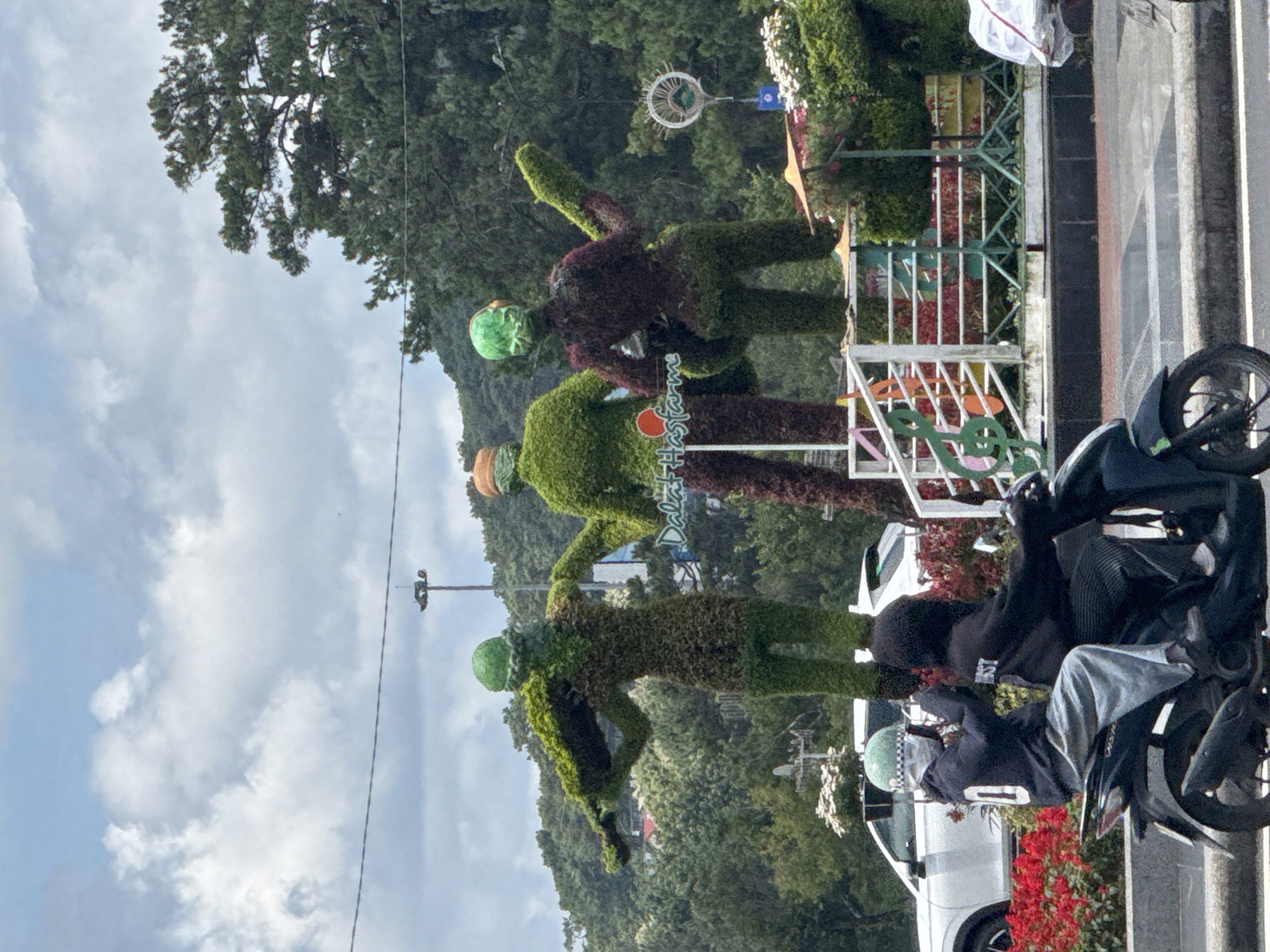 This image displays a street scene in Da Lat, Vietnam, featuring a decorative median strip with topiary sculptures and passing traffic. In the central midground, three large, human-shaped topiary figures, fashioned from various shades of green and reddish-brown foliage, stand on a raised platform, configured as a musical band. The leftmost figure holds a violin, the central figure stands with arms positioned forward, and the rightmost figure holds an electric guitar; all three figures have distinct green or orange head coverings. The text "DalatHasfarm" is visible on a sign behind the central topiary.
In the foreground, two individuals are seated on a dark-colored scooter, moving rightward. The passenger, wearing a dark blue hoodie with a white "0" on the back, light grey pants, and a green checkered helmet with a white face mask pulled down, has their right hand raised near their head. The driver wears a dark hoodie and dark pants. To the left of the scooter, a white SUV is partially visible behind a bed of red flowering plants.
The background comprises rolling hills densely covered with green trees, meeting a cloudy sky with varying shades of grey and white. Utility poles and power lines are visible in the upper portion of the frame. The decorative median also includes a white fence adorned with large green and orange musical notes (treble clef), a yellow parasol, and a metal structure resembling a drum cymbal stand.