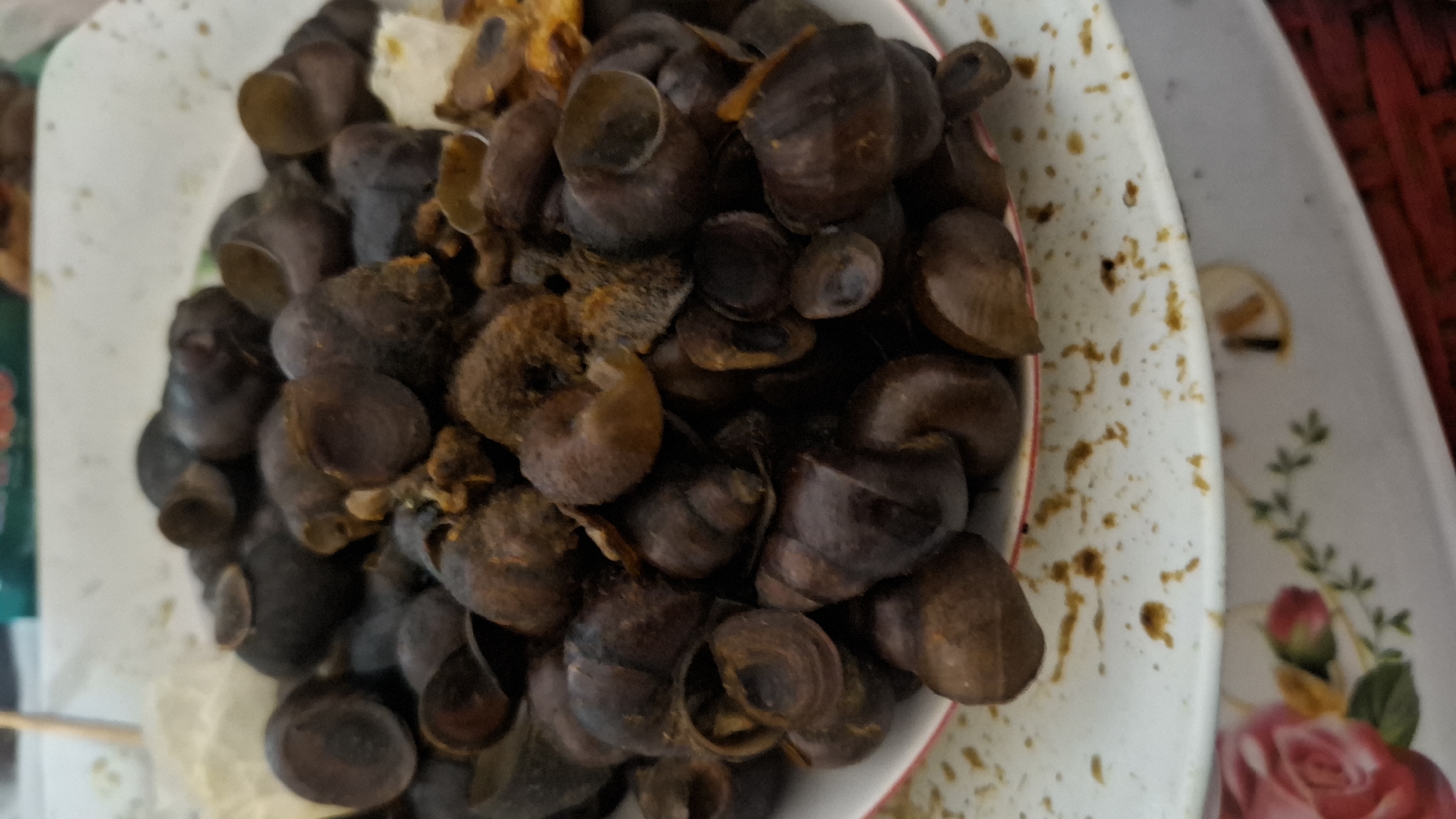 The image shows a close-up view of a pile of cooked snails in a white bowl. The snails are dark brown and have spiral shells. Some of the snails are partially open, revealing their insides. The bowl is placed on a white plate with a floral pattern, and there are some brown specks scattered on the plate. The background is blurry, but it appears to be an indoor setting with some green packaging visible. The image is taken from a slightly elevated angle. There are no people or animals visible in the image. The scene appears to be a food preparation or serving setting in Cibinong Hilir, Indonesia.