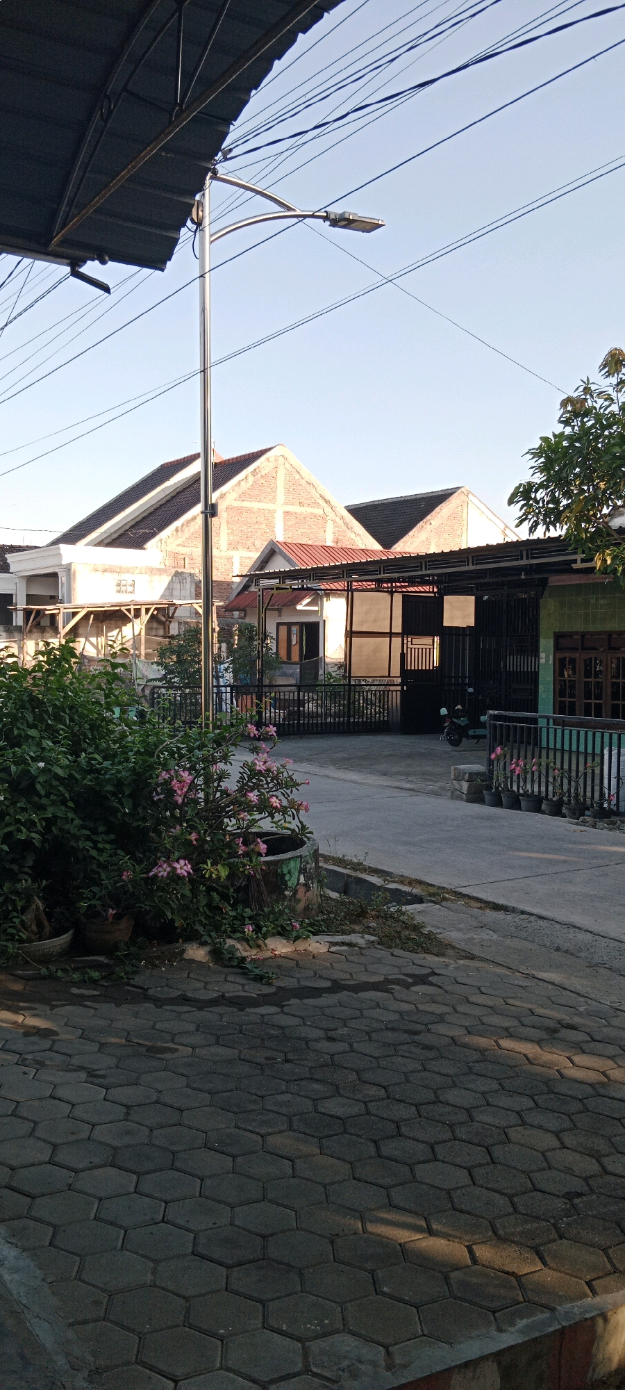 This is a vertical, eye-level, outdoor photograph taken during the daytime in Sambiroto, Indonesia. The scene depicts a street and residential area. In the foreground, a paved walkway made of hexagonal interlocking concrete blocks extends towards the right side of the frame, showing dappled sunlight. To the left of the walkway, a large, overgrown bush with pink flowers is situated in a circular concrete planter, which is weathered and has green paint. Several other potted plants are visible behind the bush.
Beyond the walkway, a gray asphalt road leads into the scene, with a drainage ditch running alongside it. In the middle ground, there are several houses. The house on the left has a white exterior and wooden scaffolding. The central structure is a building with a red-tiled roof, exposed brickwork on its upper facade, and a covered carport area with black metal grating and a motorcycle parked underneath. To the right of this structure, another house with a green facade and wooden window frames is partially visible. A black metal fence borders the property in front of the houses.
In the background, the sky is clear and pale blue, with several black power lines stretching across it. A modern street lamp with a curved metal arm is positioned near the left edge of the frame, attached to a tall metal pole. The overall impression is of a residential street in a tropical or subtropical climate, possibly in the late afternoon due to the long shadows cast on the pavement. There are no people visible in the image.