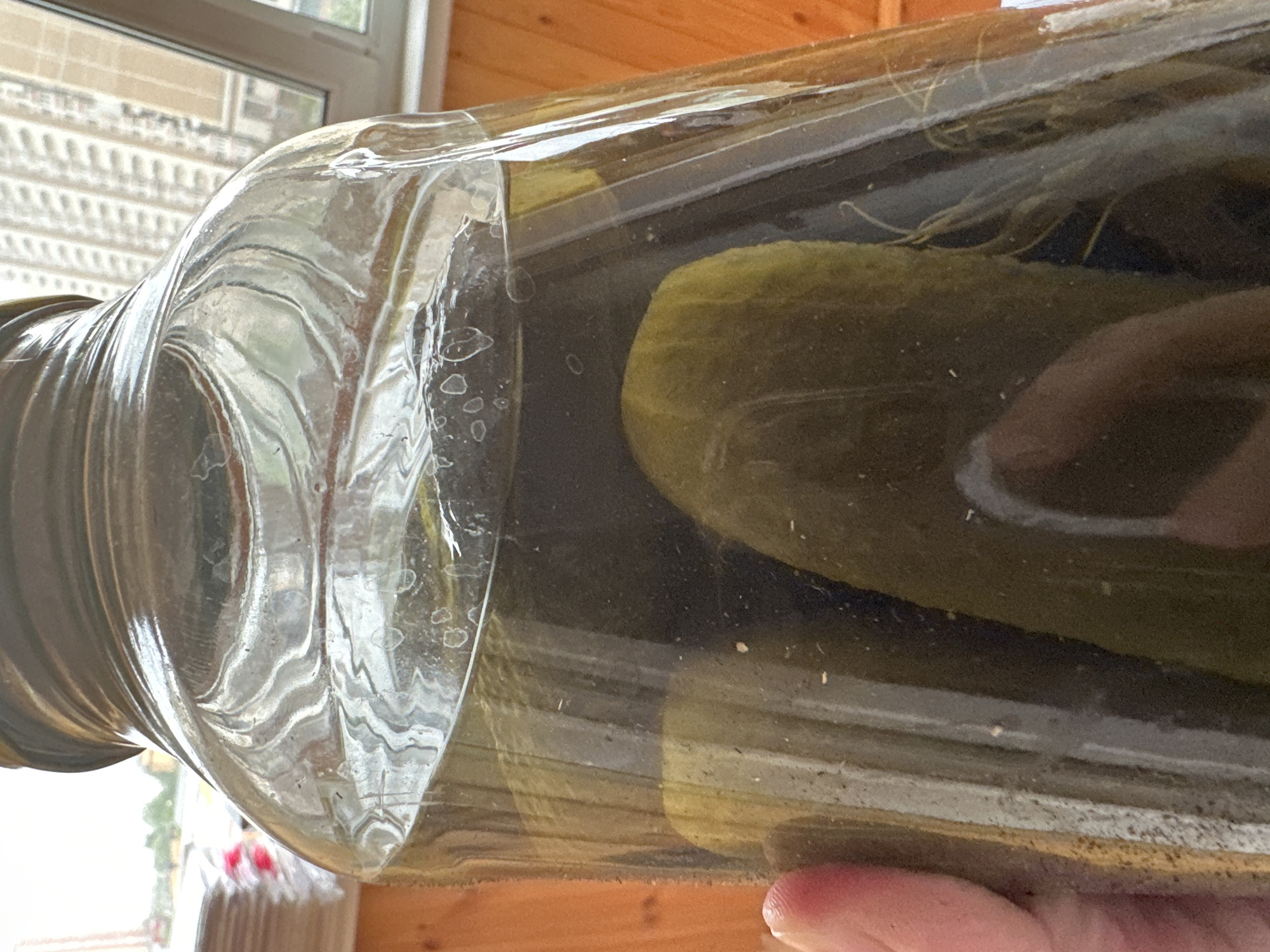 This media file shows a close-up, horizontal shot of a glass jar filled with pickles. The jar is tilted, with the neck and part of the side dominating the left and center of the frame. The glass has a rippled texture and some water spots. Inside the jar, several pickles are visible, submerged in a dark liquid. A single pickle, prominent in the center right, appears plump and bumpy, characteristic of a dill pickle. Some thin, white root-like structures are also visible floating in the liquid, possibly dill fronds. The background is out of focus, but suggests an indoor setting with wooden surfaces and a window with a blurred view of what appears to be a building or urban landscape. The lighting suggests daylight. A hand, holding the jar from the bottom right, is partially visible, with a thumb and forefinger out of focus. There is no visible text in the media file. The overall impression is of homemade pickled cucumbers. The location context of Podolsk, Russia, implies this could be a domestic scene in that region.