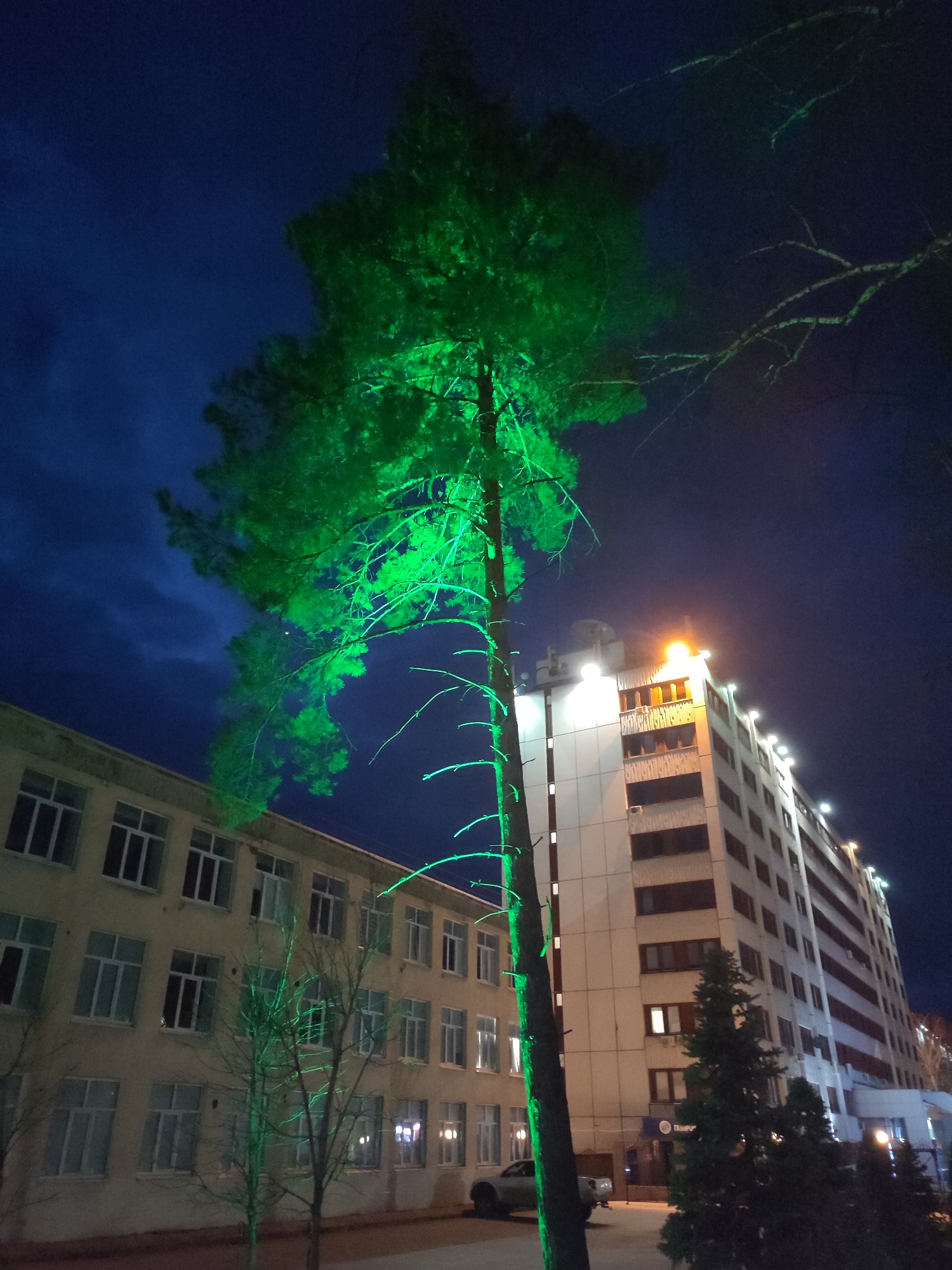 This nighttime photograph, taken in Chaikovsky, Russia, captures an urban street scene featuring a striking, brightly illuminated green tree. A very tall, slender conifer tree, possibly a pine, stands prominently in the foreground, its entire trunk and foliage bathed in vibrant green light, creating a dramatic contrast against the deep blue night sky.
To the left of the tree, a light-colored, multi-story building with numerous rectangular windows suggests a school or administrative building. Its windows are mostly dark, with some showing faint interior light. To the right, a taller, more modern multi-story building rises, featuring a light-colored facade with darker recessed windows or balconies. This building is extensively lit along its roofline with white lights, and a bright, warm-toned light emanates from its upper section, where a satellite dish is also visible. Near its base, a partially visible blue sign appears to read "БИЗНЕС" (BIZNES), indicating it might be a business center.
The sky is dark blue with subtle cloud formations, characteristic of twilight or early night. No people are discernible. A light-colored car is partially visible, parked near the base of the brightly lit tree. Smaller, bare-branched trees are scattered in the mid-ground, and a cluster of darker evergreen trees stands near the entrance of the taller building. The overall scene is defined by the artificial lighting, creating a dynamic interplay of colors and shadows, with the green tree serving as a focal point.