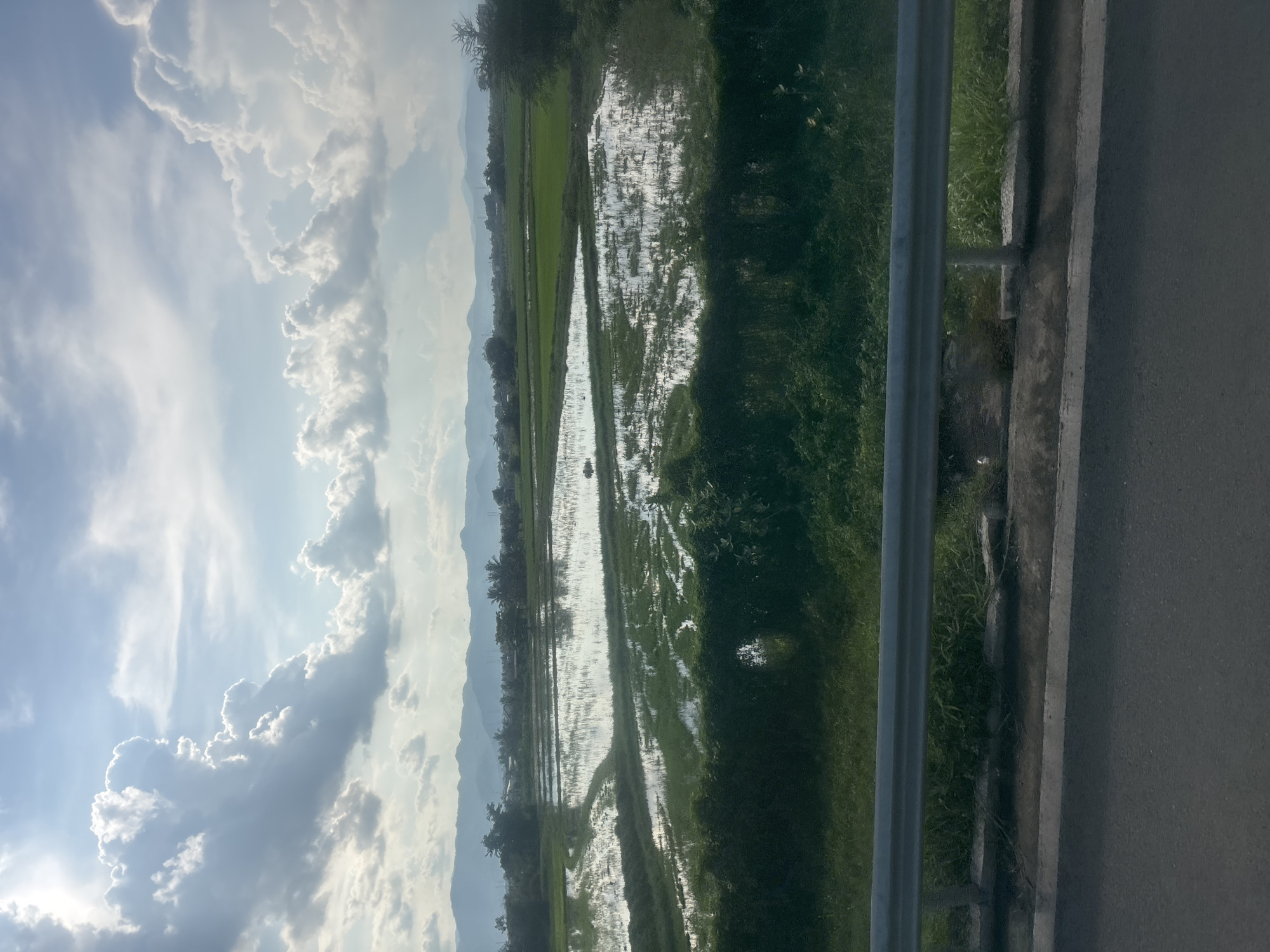 The image depicts a rural landscape with flooded rice paddies reflecting the sky. In the foreground, a metal guardrail separates the road from a grassy area. The background features a range of distant mountains under a cloudy sky with patches of sunlight. The scene is natural and serene, with no people or specific structures of interest visible.