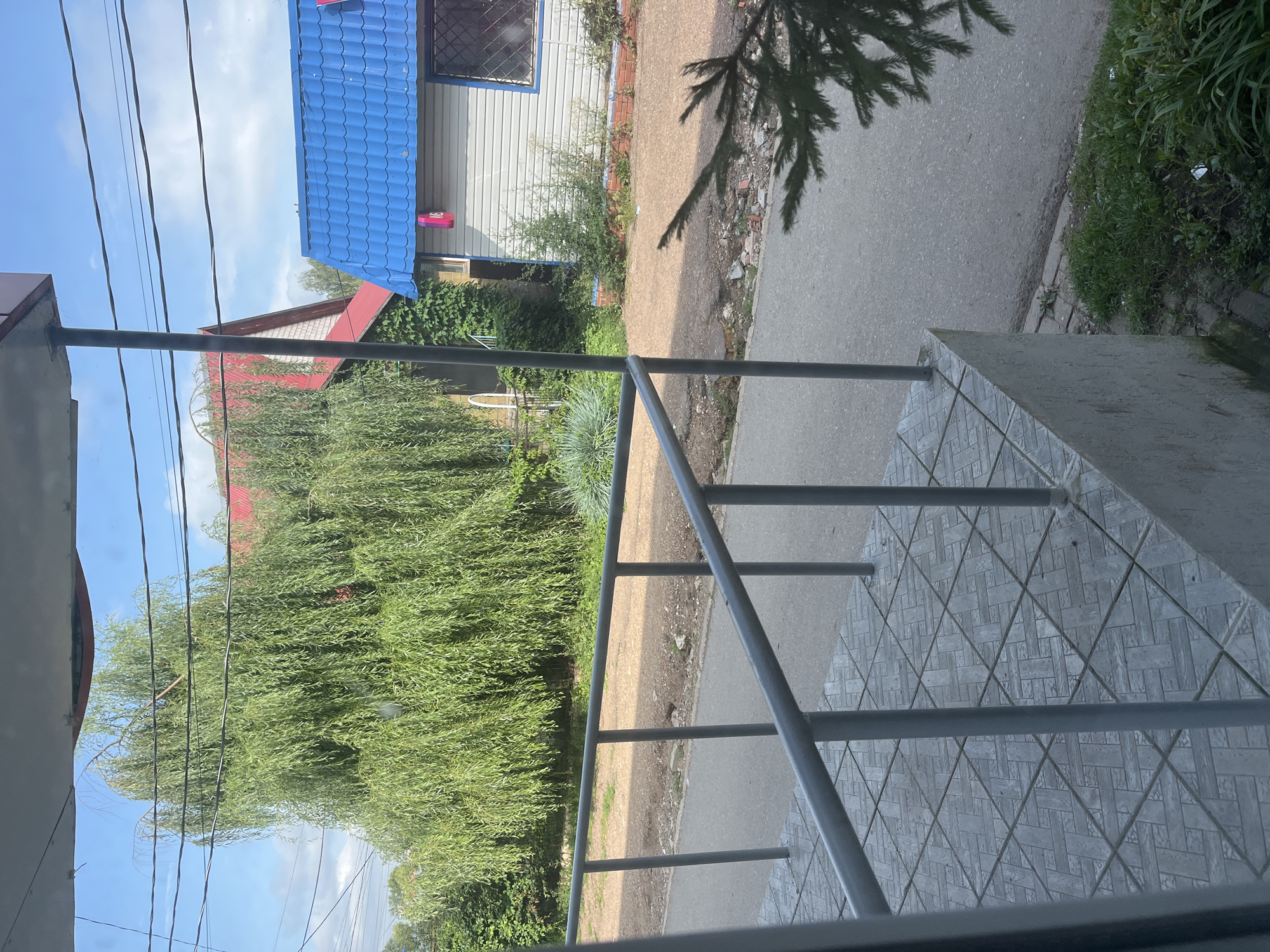 The image captures an outdoor scene, likely in a residential or semi-commercial area of Blagoveshchensk, Russia. In the foreground, a gray tiled porch with a metal railing is visible. Beyond the railing, a paved road runs alongside a dirt path. Dominating the mid-ground is a large weeping willow tree with lush green foliage, its branches cascading downwards. Behind the willow, a building with a red roof and brick facade is partially obscured. To the right, another building is visible with a blue, wave-patterned roof and light-colored siding, featuring a window with a diamond lattice pattern. Overhead, power lines crisscross the sky, which is partly cloudy with a blue sky visible. The overall impression is that of a typical streetscape in a Russian town during daytime. There are no people or animals clearly depicted in the image. The scene appears to be static and undisturbed.