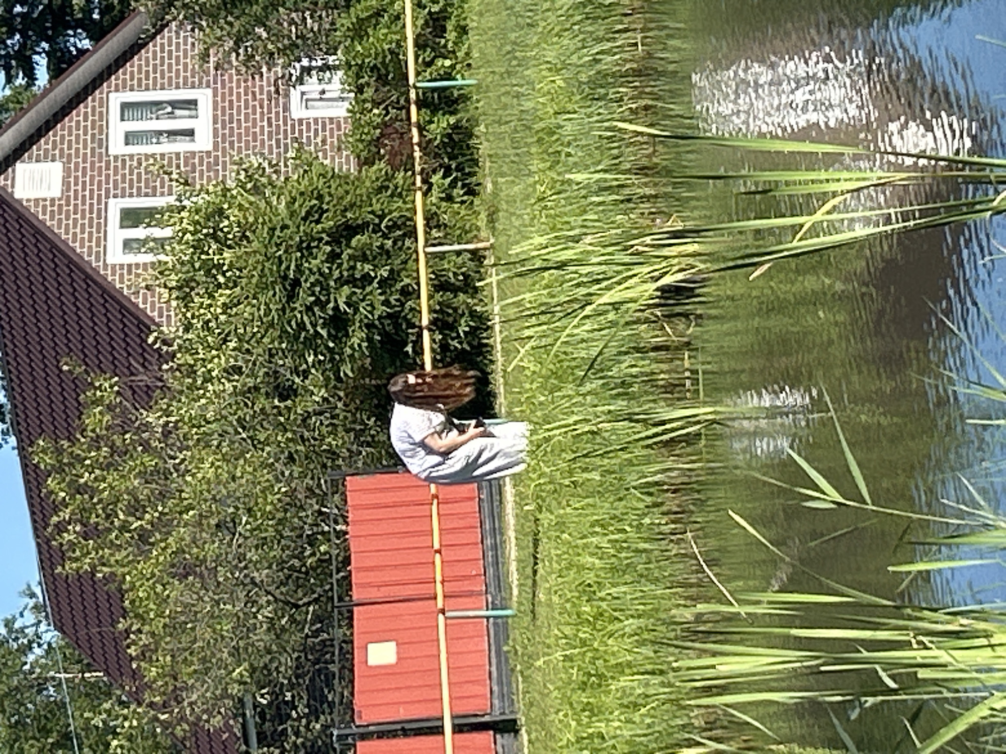 A woman in a light blue dress is bending over near the edge of a body of water. She has long, dark hair that falls forward, obscuring her face. The water has tall reeds growing along its edge, and a reflection of the sky and greenery is visible on the surface. Behind the woman, there is a red fence with yellow and grey poles. Further back, a brick house with a dark tiled roof and white-framed windows is visible, surrounded by lush green trees and bushes. The scene appears to be in a suburban or rural setting.