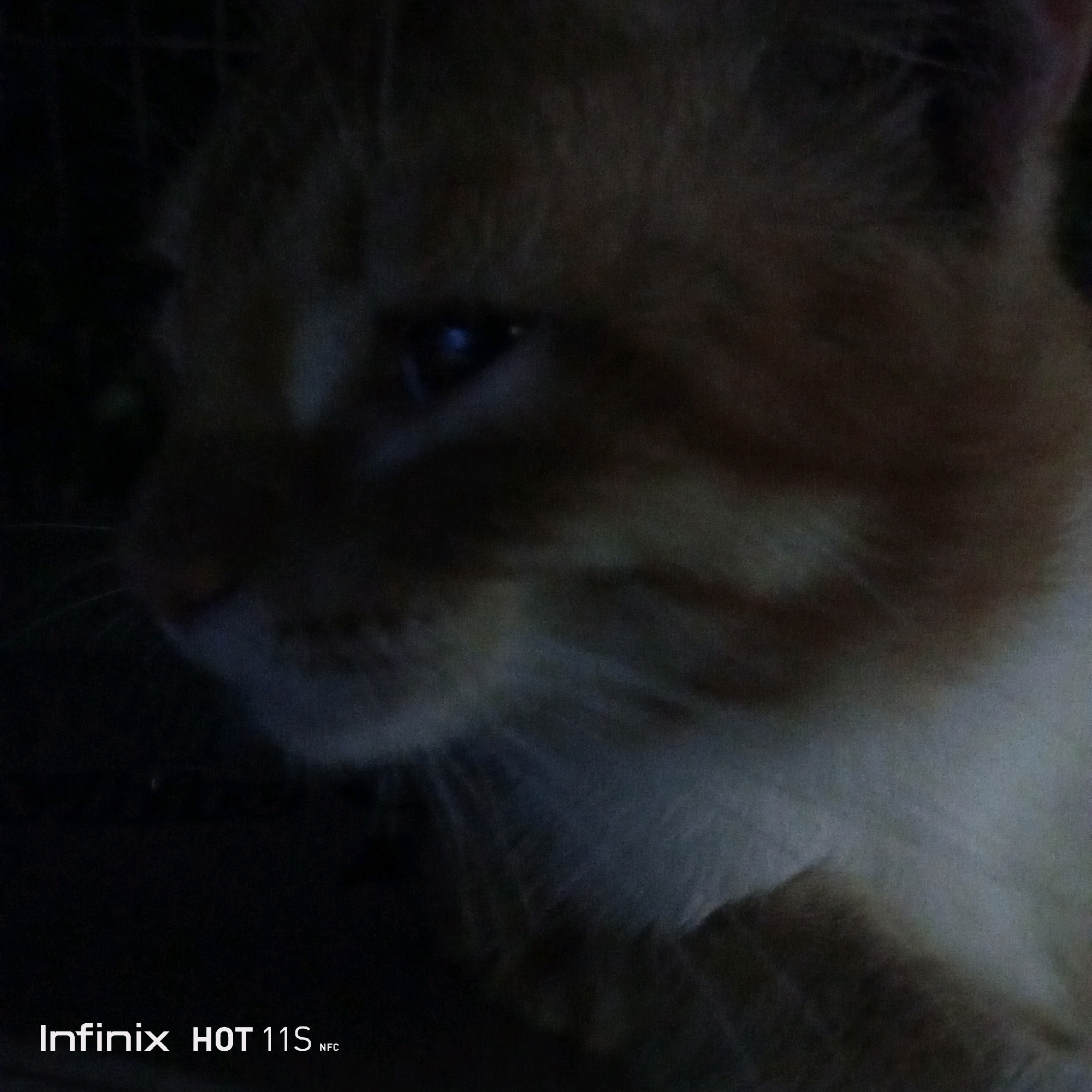 The image is a close-up, low-light photograph of a ginger cat's face. The cat's fur is visible, and one blue eye is prominent, reflecting a light source. The background is dark and out of focus, obscuring the environment. At the bottom of the image, the text "Infinix HOT 11S NFC" is displayed in white, indicating the phone model used for the photograph. The location is Sukaslamet, Indonesia.