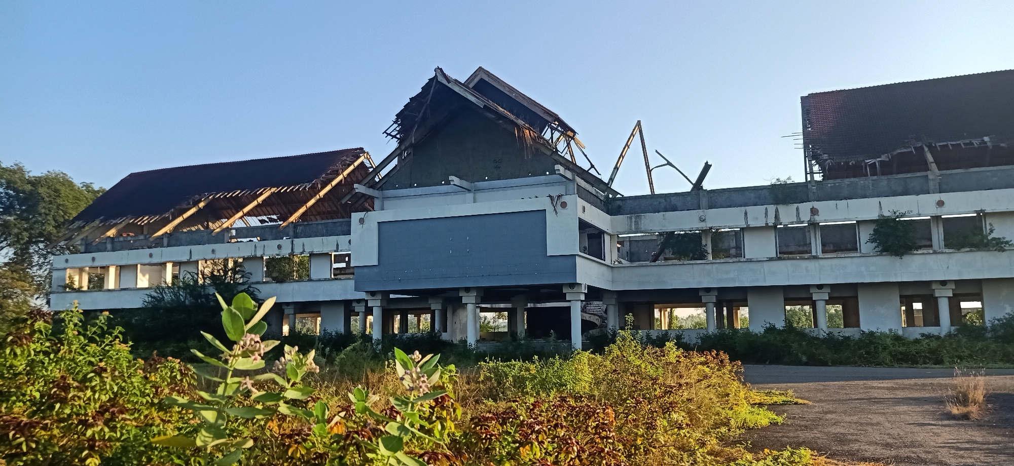 An exterior, wide-angle, ground-level, eye-level shot captures an abandoned, multi-story building with a partially collapsed roof against a clear blue sky during daylight hours. The structure is rendered in white and grey, with its exposed roof beams and damaged roofing materials suggesting a state of disrepair. Overgrown vegetation, including dense green bushes and some dry grass, encroaches on the building's foundation and surrounding asphalt ground. The building, located in Keudekruenggeukueh, Indonesia, shows signs of significant structural damage, with open window frames and a visibly weathered facade. The scene is devoid of any human presence or activity. The lighting indicates it is either early morning or late afternoon, casting soft shadows and highlighting the textures of the dilapidated structure and the vibrant greenery.