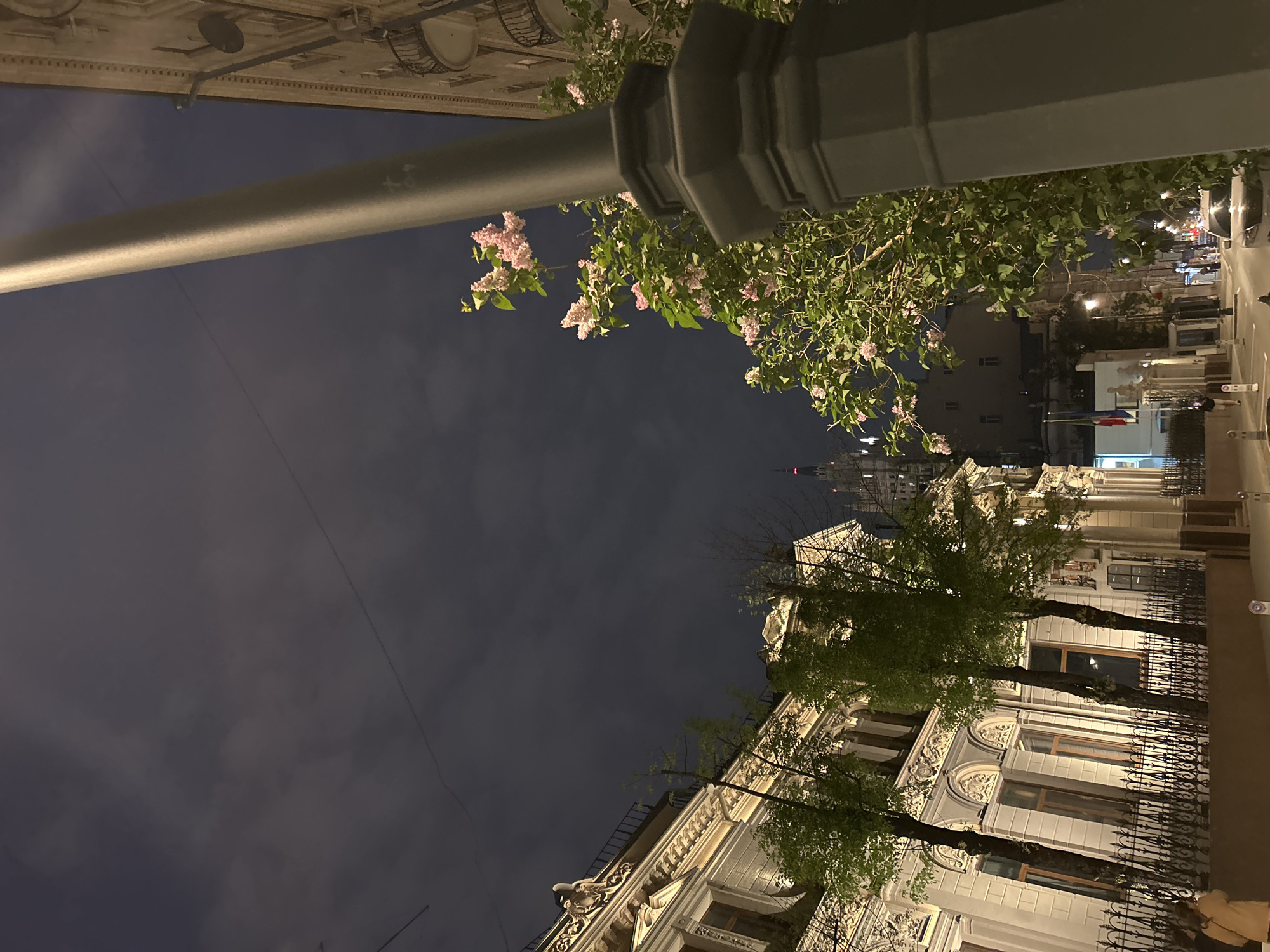 Captured from a low angle, the image presents a street scene at night. A gray lamppost extends diagonally across the frame from the top left, with the top portion of its ornate head visible. A blooming lilac bush with pink flowers is positioned near the lamppost. Beyond the lamppost and bush, the night sky dominates, with dark clouds. On the right side of the image, a building with ornate white facades and wrought-iron fencing is visible. The architecture suggests a historical or classic design. Trees with green foliage stand in front of the building. In the background, a street with pedestrians is dimly lit by streetlights, and the Russian flag is visible. The photo suggests an urban setting, possibly in an older section of a city.