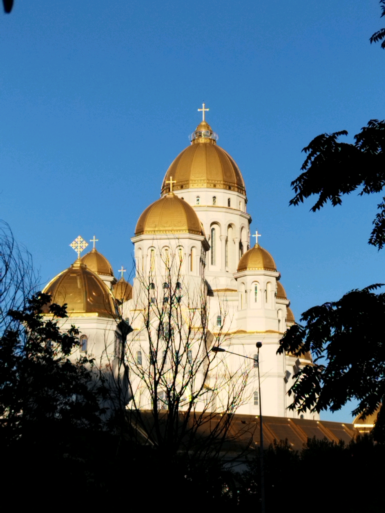 The image captures the majestic exterior of the Romanian Orthodox Cathedral in Bucharest, Romania, bathed in the warm glow of sunlight against a clear blue sky. The cathedral is characterized by its prominent golden domes, each topped with a cross. The building is a striking white structure with multiple levels and arched windows. Silhouetted trees and branches frame the cathedral from the foreground, adding depth and contrast to the scene. A lamppost is also visible in the lower portion of the image.
