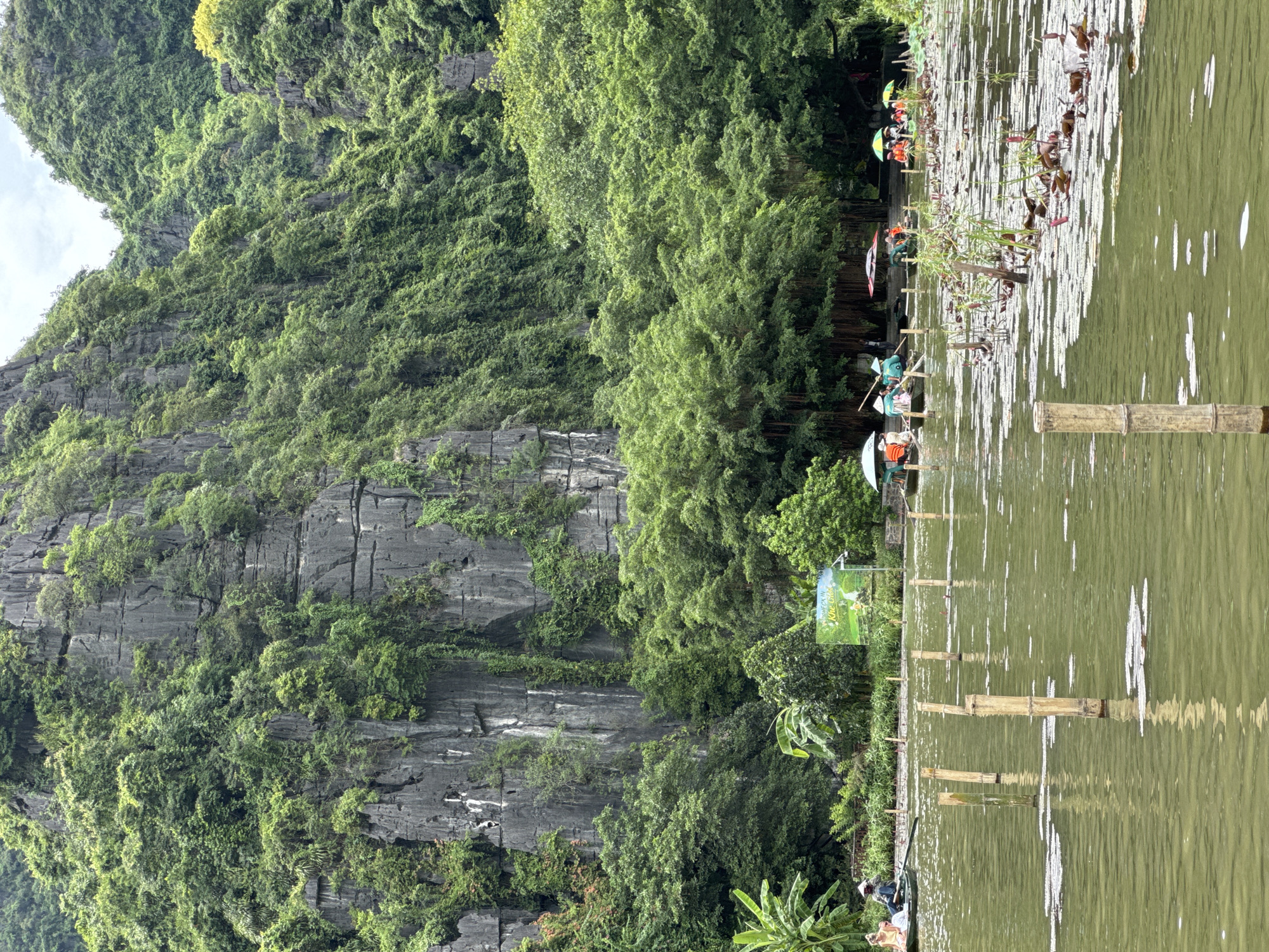 The image shows a scenic view of a river with boats and lush green mountains in the background, likely in Nam Hoa Lư Ward, Vietnam. In the foreground, bamboo poles stick out of the murky green water, which is dotted with lily pads. Several small boats, some carrying passengers, are visible in the middle ground. These boats appear to be part of a tour or transportation service. People are seated in the boats, some holding umbrellas for shade. In the background, a steep, rocky mountainside covered in dense green vegetation rises dramatically. The sky above is overcast. A sign is visible on the right side of the image, partly obscured by trees.