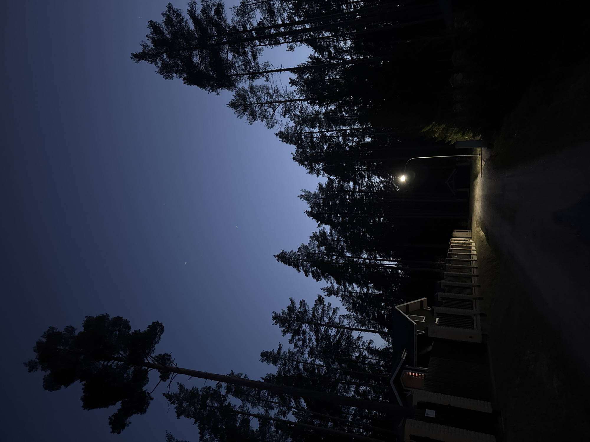 The image depicts a night scene in what appears to be a residential area. Tall pine trees frame the image, silhouetted against a dark blue sky with a sliver of a moon visible. A street light illuminates a road leading towards a house. The house has a visible porch and windows with a faint light emanating from within. There are no visible people or indications of movement. The environment suggests a quiet, possibly rural, setting on the outskirts of a town or village. There is no conclusive information to confirm this is Aleksandrovka, Russia.