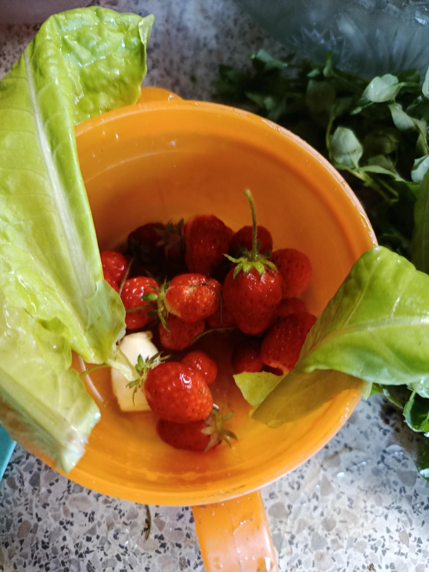 The image displays a close-up, top-down view of an orange plastic bowl filled with freshly washed red strawberries and a few light green fruit chunks, likely apple or pear. Many of the strawberries retain their green stems and appear wet and glistening.
Large, vibrant green lettuce leaves are arranged around and partially inside the bowl, also covered in water droplets. In the background, to the right, more dark green leafy vegetables, possibly watercress or similar, are visible and slightly out of focus.
The bowl and its contents are placed on a grey and white mottled countertop, suggesting an indoor setting, most likely a kitchen. The overall scene indicates preparation of fresh ingredients, perhaps for a salad or fruit dish. There are no people visible, and no text, specific time of day, weather conditions, or emotions can be discerned from the image.