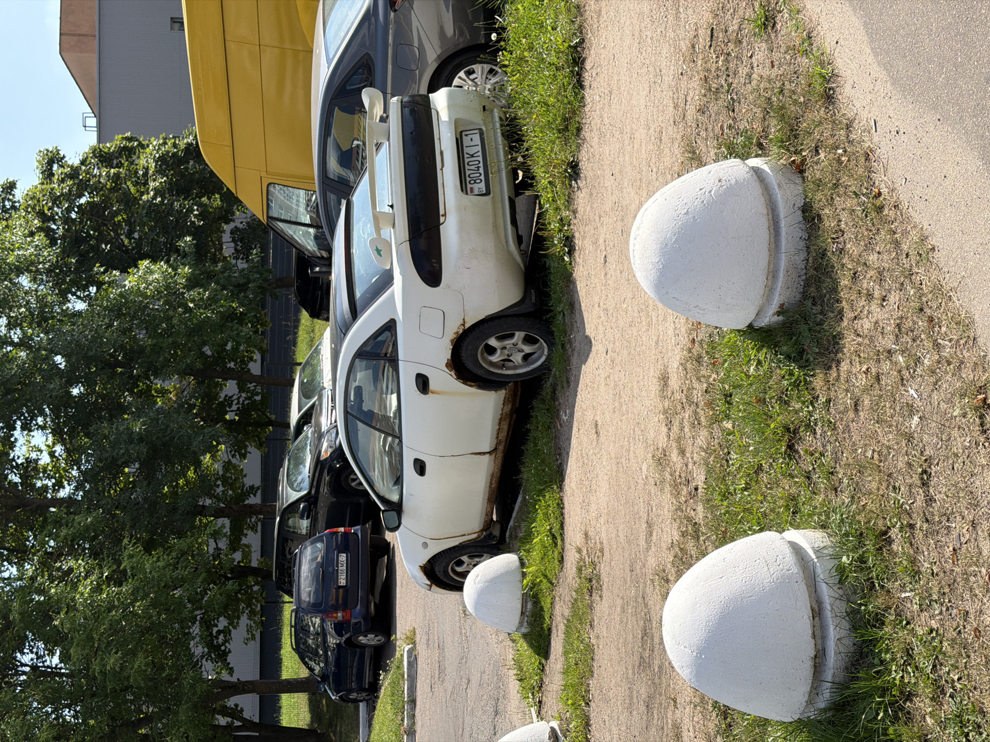 This is a medium-shot, eye-level, outdoor photograph taken on a sunny day, likely in a parking lot or along a street in Minsk, Belarus. The foreground features two white, concrete bollards with a textured, roughly spherical top, each surrounded by patches of green grass and dry dirt. Behind these bollards, a white sedan with extensive rust damage along its lower body panels and wheel arches is parked. The car has a large, aftermarket rear spoiler, tinted taillights, and a Belarus license plate reading "8040K I-1". To the left of the white sedan, a dark blue hatchback with a Belarus license plate reading "2166 MX-7" is parked. Further back, a black SUV is visible, and to its right, a portion of a bright yellow van. Trees with dense green foliage line the background, and a light-colored building with a grey facade is partially visible behind the trees. The ground is a mix of asphalt and gravel.