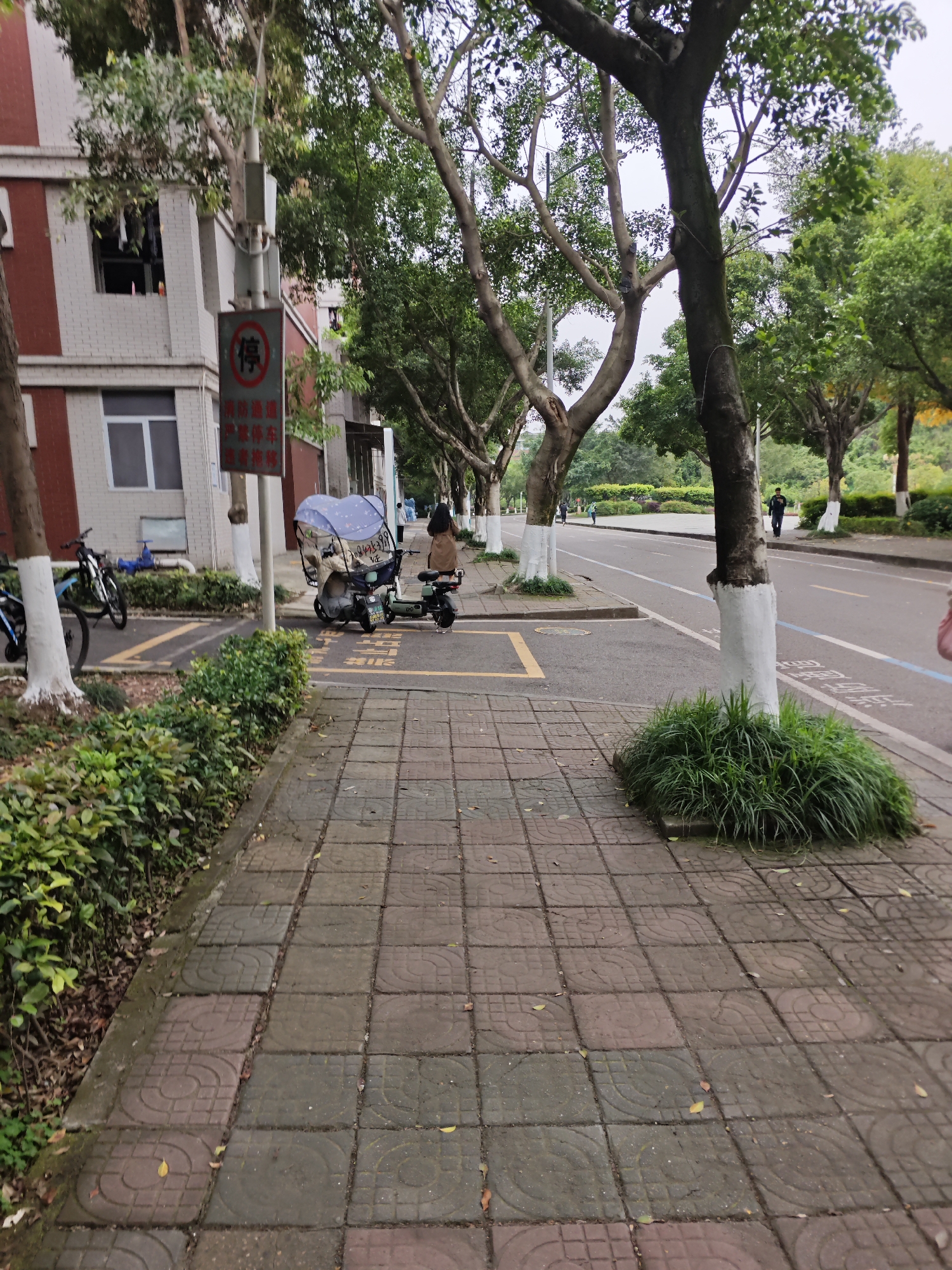 The image shows a street scene in Chongqing High-tech Zone, China. A paved sidewalk is in the foreground, leading to a street with trees lining both sides. Tree trunks are painted white at the base. A sign written in Chinese characters is visible near a building on the left. An electric scooter with a canopy is parked in a designated parking area marked with yellow lines. A person stands near the scooter, and another person walks on the opposite side of the street. Bicycles are parked next to the building. The weather appears overcast.