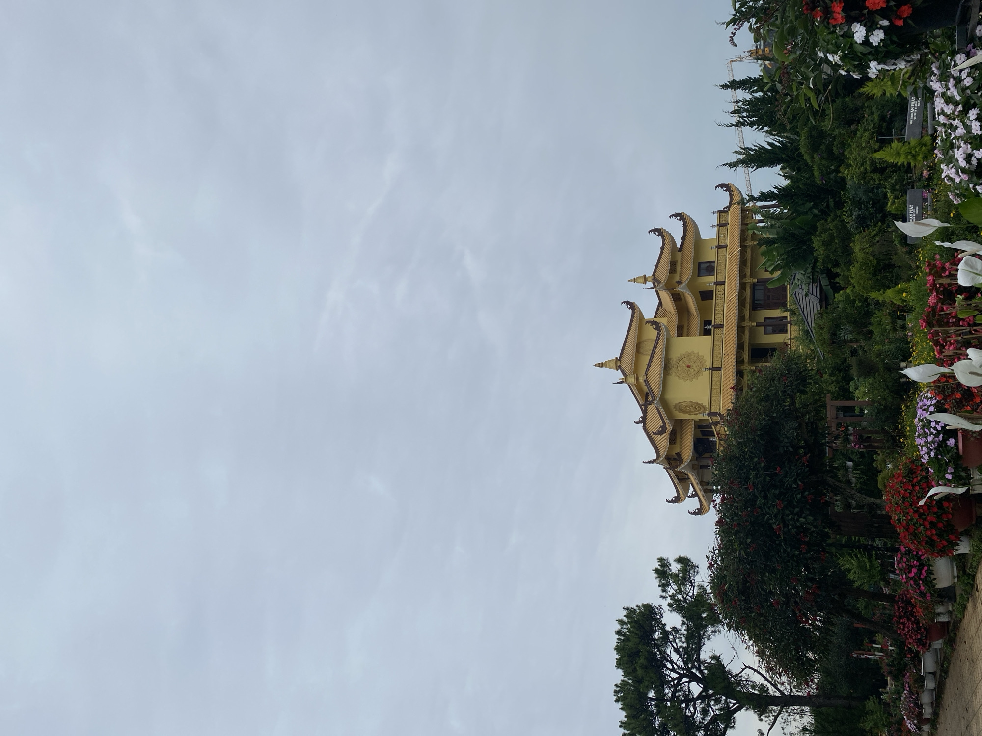 The image shows a pagoda with golden-colored roofs and ornate, upward-pointing eaves in Da Lat, Vietnam. The pagoda is three stories tall and surrounded by lush greenery, including trees and flowering plants in pots. A tall pine tree is visible in the foreground. A crane is visible in the background, indicating construction activity nearby. The sky is overcast with light gray clouds.