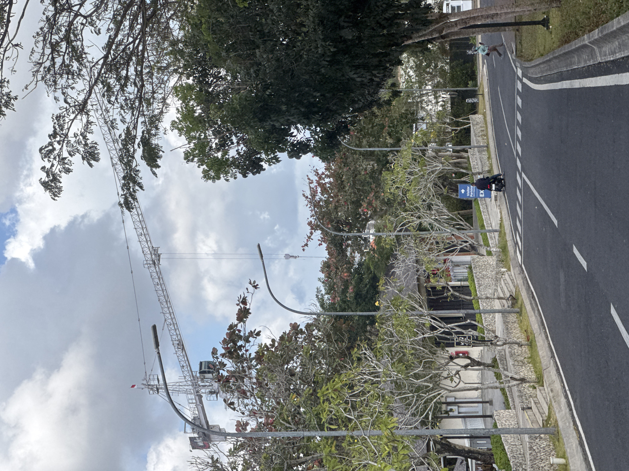 This image depicts a construction scene in Kuta Selatan, Indonesia. A large tower crane is visible against a cloudy sky, suggesting ongoing building activity. The crane extends over a street lined with trees and low-rise buildings. A red and white flag flies from the top of the crane's tower. In the foreground, a paved road curves to the right, with white lines marking the lanes. A person on a scooter is traveling down the road, while another person, possibly a pedestrian, is crossing the street further down. The surrounding environment includes well-maintained landscaping with stone walls and a variety of trees, some with green foliage and others with bare branches. Streetlights are positioned along the roadside. The buildings appear to be commercial or institutional, with some signage visible. The overall scene suggests a developing urban area in Kuta Selatan, characterized by both construction and established infrastructure.