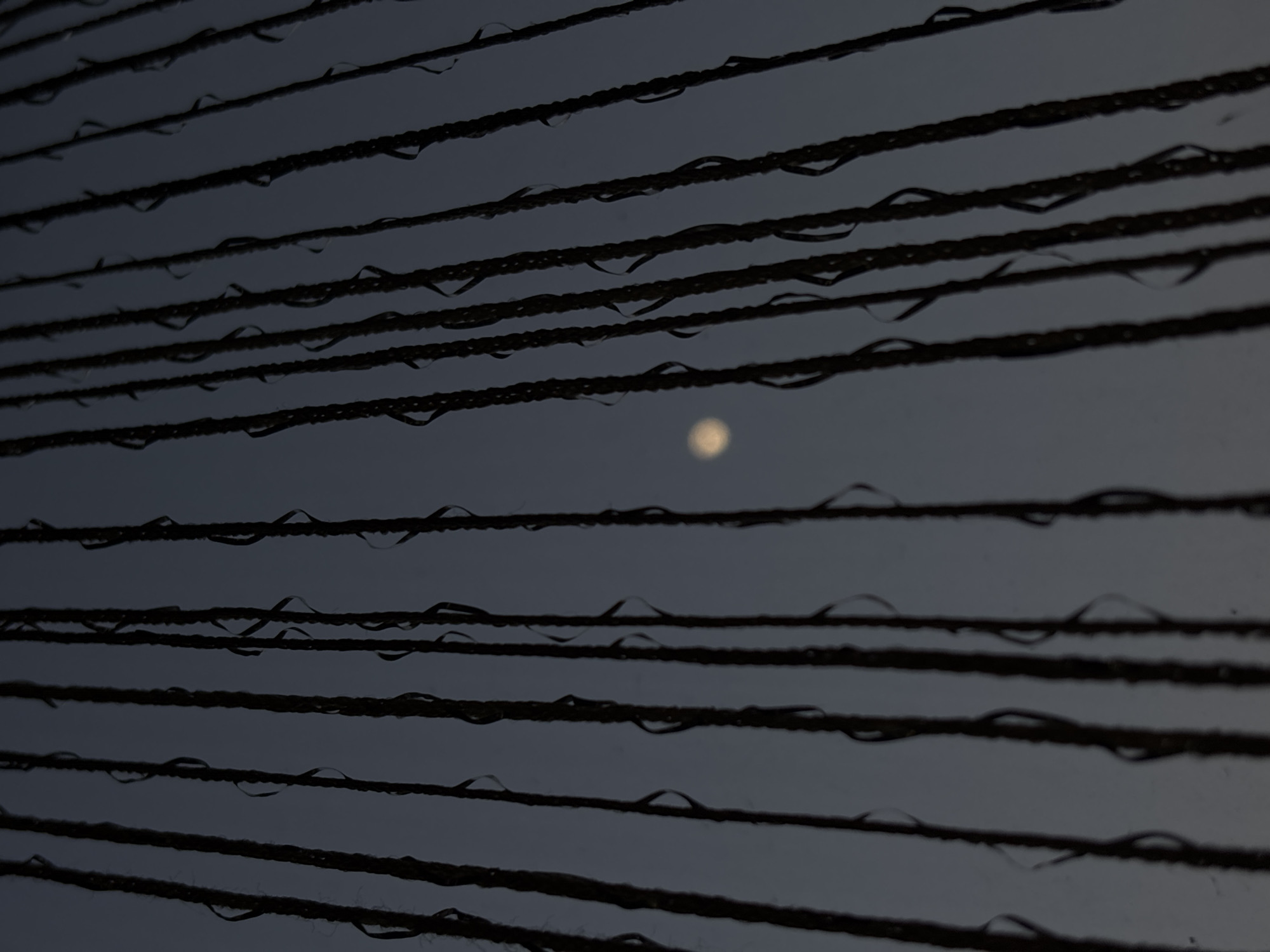 The image depicts multiple parallel dark ropes or lines, possibly utility cables, stretching horizontally across the frame. Droplets of water cling to the ropes. In the background, a dim, circular, pale light, suggestive of the moon, is visible between the ropes. The setting appears to be at night. It is not possible to determine the precise location within Plovdiv, Bulgaria from the image alone. There is no evidence to indicate the presence of people, specific actions, or interactions.