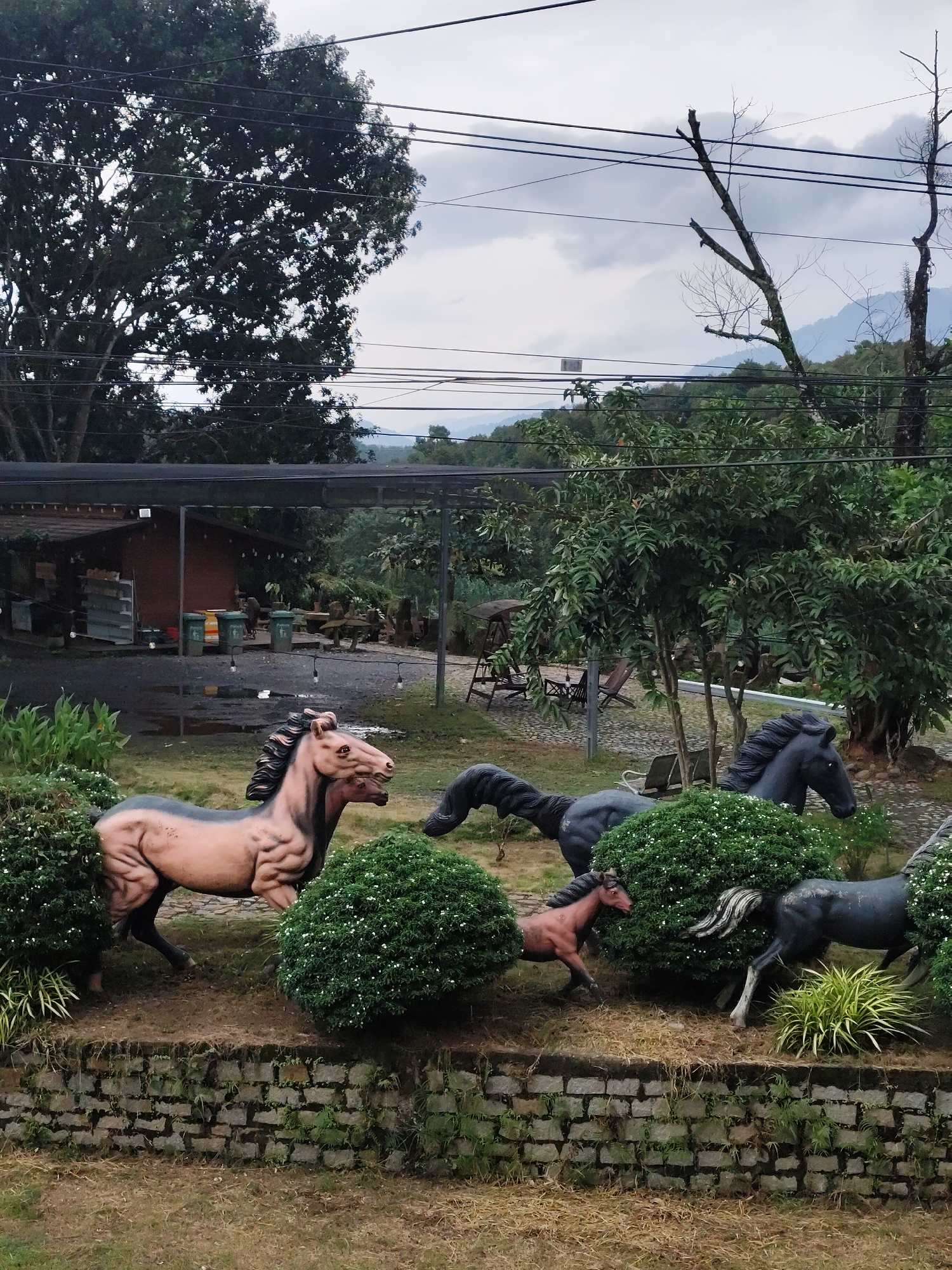 The image shows a park-like setting with several horse statues as the main subjects. The statues depict horses in various poses, with one light brown horse in the foreground on the left, and several darker colored horses behind it. The horses are placed amongst lush green bushes and vegetation, some of which are trimmed into round shapes. A low stone wall runs across the bottom of the image, bordering the area where the horses are situated. In the background, there is a rustic wooden building with a covered outdoor area, possibly a shop or a seating area, and some green trash bins. Further in the background, trees and foliage are visible, with mountains in the distance under a cloudy sky. Electrical wires are visible strung across the upper part of the image, partially obscuring the trees and sky. There are no people or animals present in the scene. The setting appears to be outdoors and possibly a tourist attraction or a decorative garden. The image does not provide specific visual cues to pinpoint its exact location within Thôn 1, Vietnam, but it suggests a rural or semi-rural environment with some established landscaping and structures.