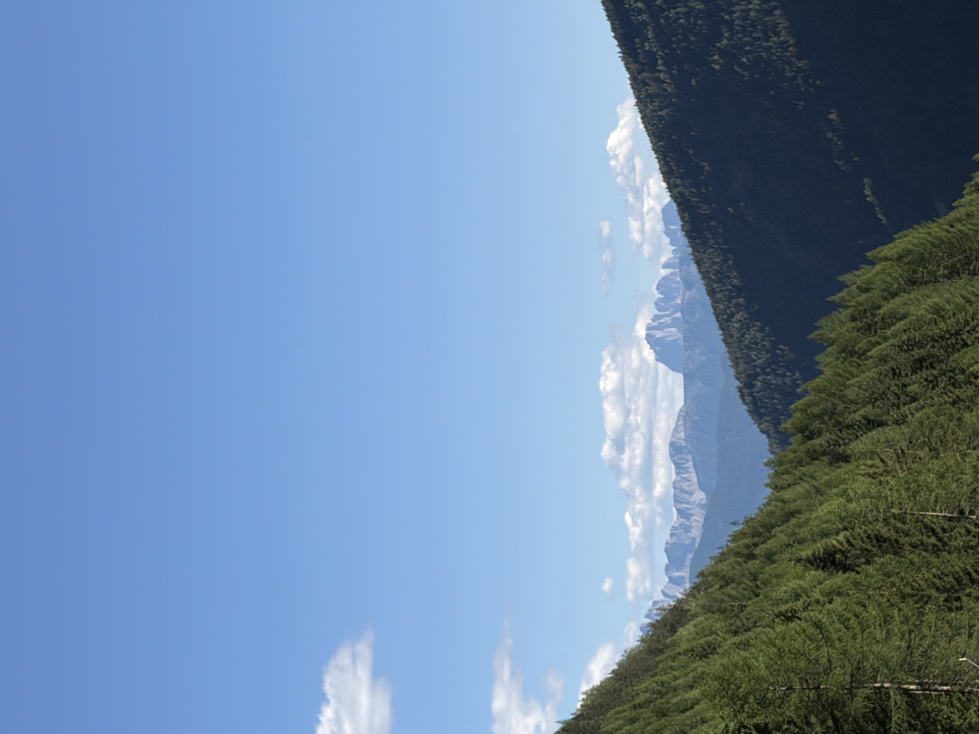The image shows a mountainous landscape under a clear blue sky with scattered white clouds. The foreground features a steep, densely forested slope on the left, composed of numerous evergreen trees. The trees are vibrant green and create a textured pattern that extends diagonally across the lower left portion of the frame.
The right side of the image displays another forested mountain slope, darker in tone, suggesting it is further away or in shadow. This slope also appears densely wooded with evergreen trees, forming a contrasting dark mass against the sky and lighter forest on the left.
In the background, a range of rugged, rocky mountains is visible. These mountains have a distinct, jagged silhouette against the sky. The peaks are lighter in color, possibly due to rock face or snow, and appear distant. The overall scene conveys a sense of natural grandeur and wilderness.
The location is Mühlbach - Rio di Pusteria, Italy, known for its alpine scenery. The image captures the essence of this region with its dramatic mountain vistas and lush forests. There are no people or man-made structures visible in this particular view. The lighting suggests it is daytime, with the sun illuminating the scene from an angle that casts shadows on the mountainside.