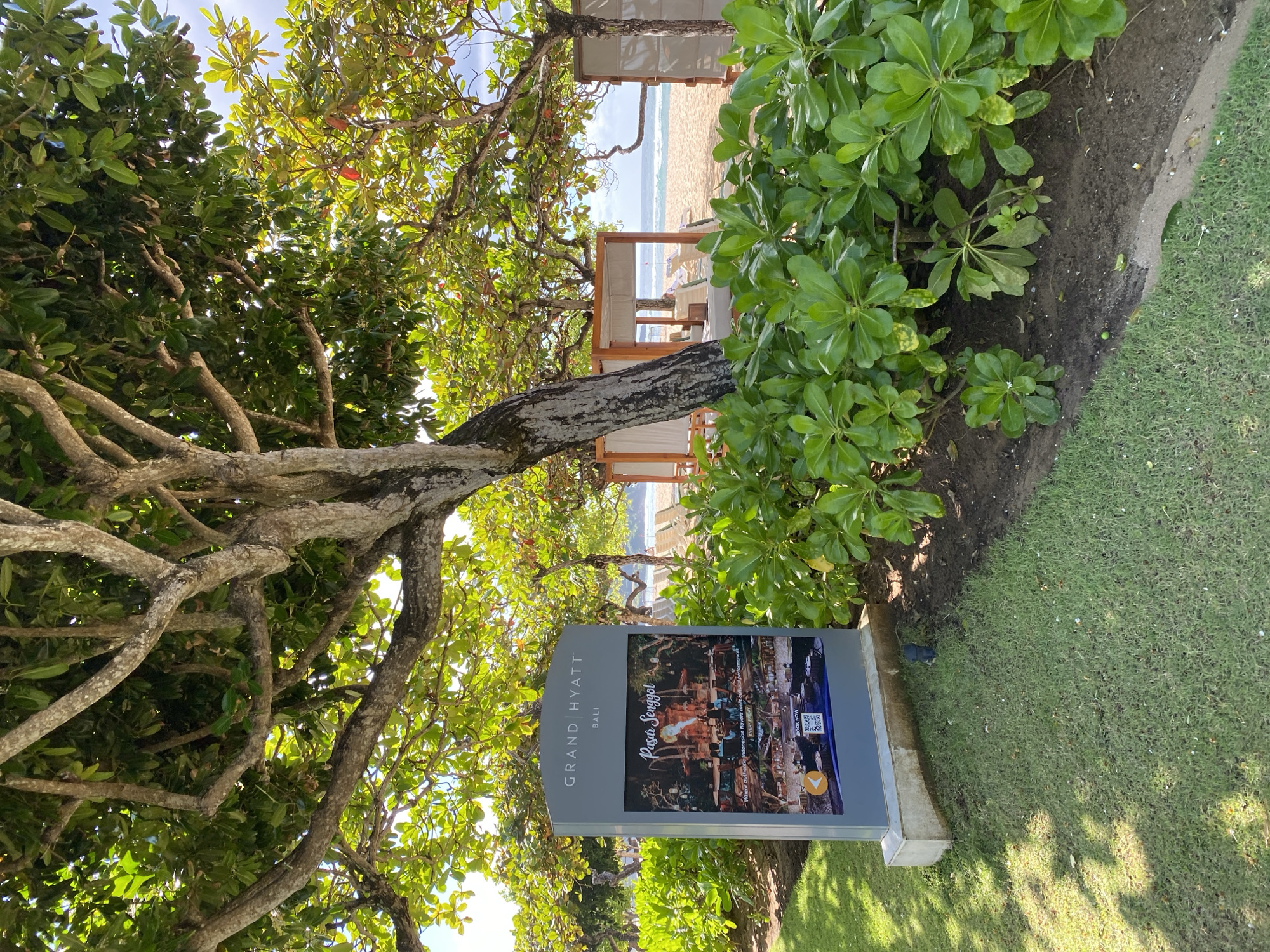 The scene is a partial outdoor shot of Grand Hyatt Bali, located in Kuta Selatan, Indonesia. A sign for "Pasar Senggol" is prominently featured, bordered by foliage and a large, multi-branched tree. In the background, beach cabanas can be seen, leading to a sandy beach and ocean. The environment includes grass and garden plantings around the sign. No people are directly visible in the frame.