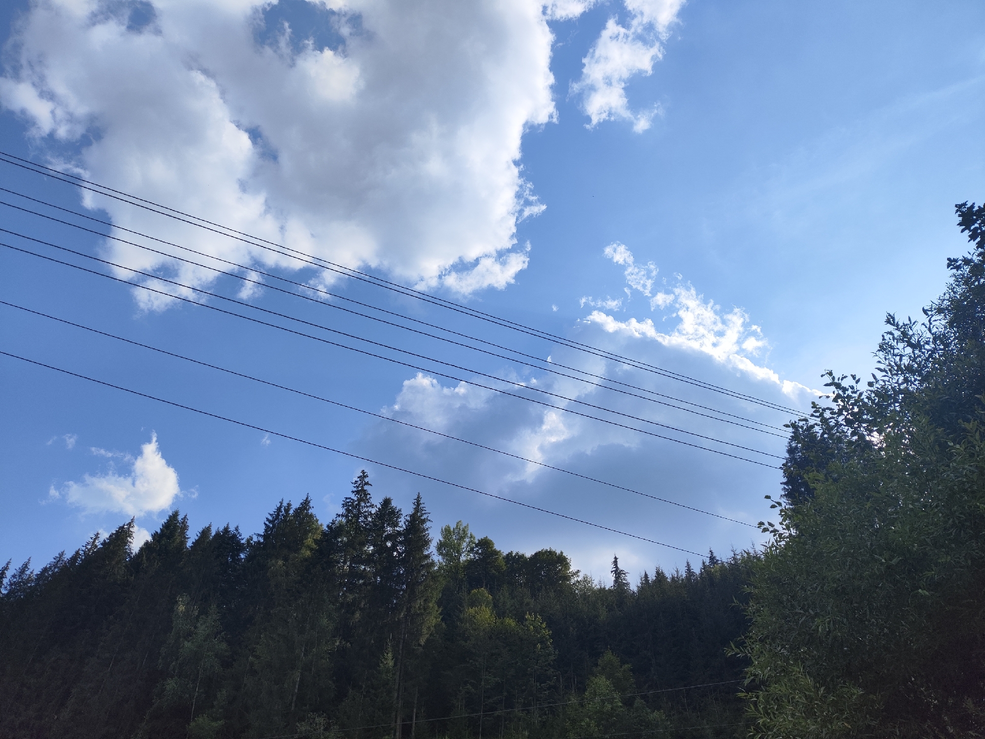 The image depicts a view of a treeline against a blue sky with scattered clouds, taken from a location in or near Botoș, Romania. Multiple parallel power lines traverse the sky horizontally across the upper portion of the frame. The treeline, composed of coniferous and deciduous trees, forms a dense, dark band along the bottom third of the image, suggesting a hillside or elevated terrain. The sky is bright, with some fluffy white clouds, particularly on the left side, and a clearer expanse of blue on the right. There are no people or discernible structures visible in the image. The overall scene conveys a natural landscape with man-made power infrastructure.