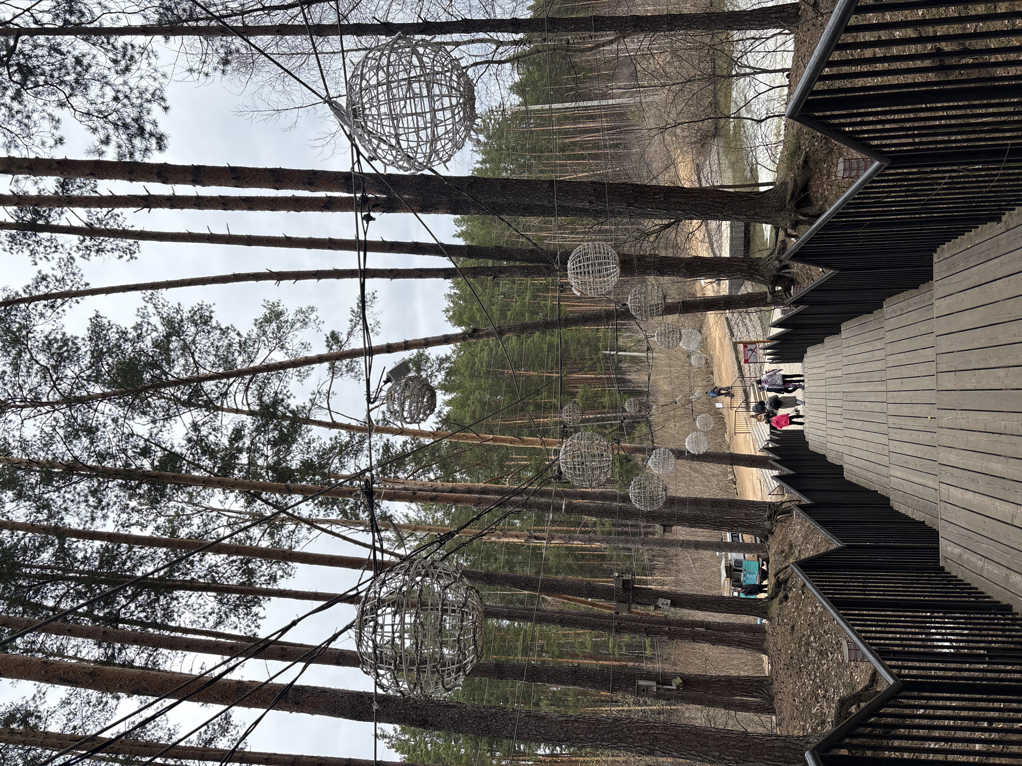 The image shows a wooded area in Neftekamsk, Russia, possibly a park or recreational space. A wooden walkway with metal railings runs along the side, going uphill. The path leads towards a group of people. Strung between the tall, slender trees are several decorative, open-weave spherical light fixtures, creating an illuminated path. A blue vehicle can be seen in the background.