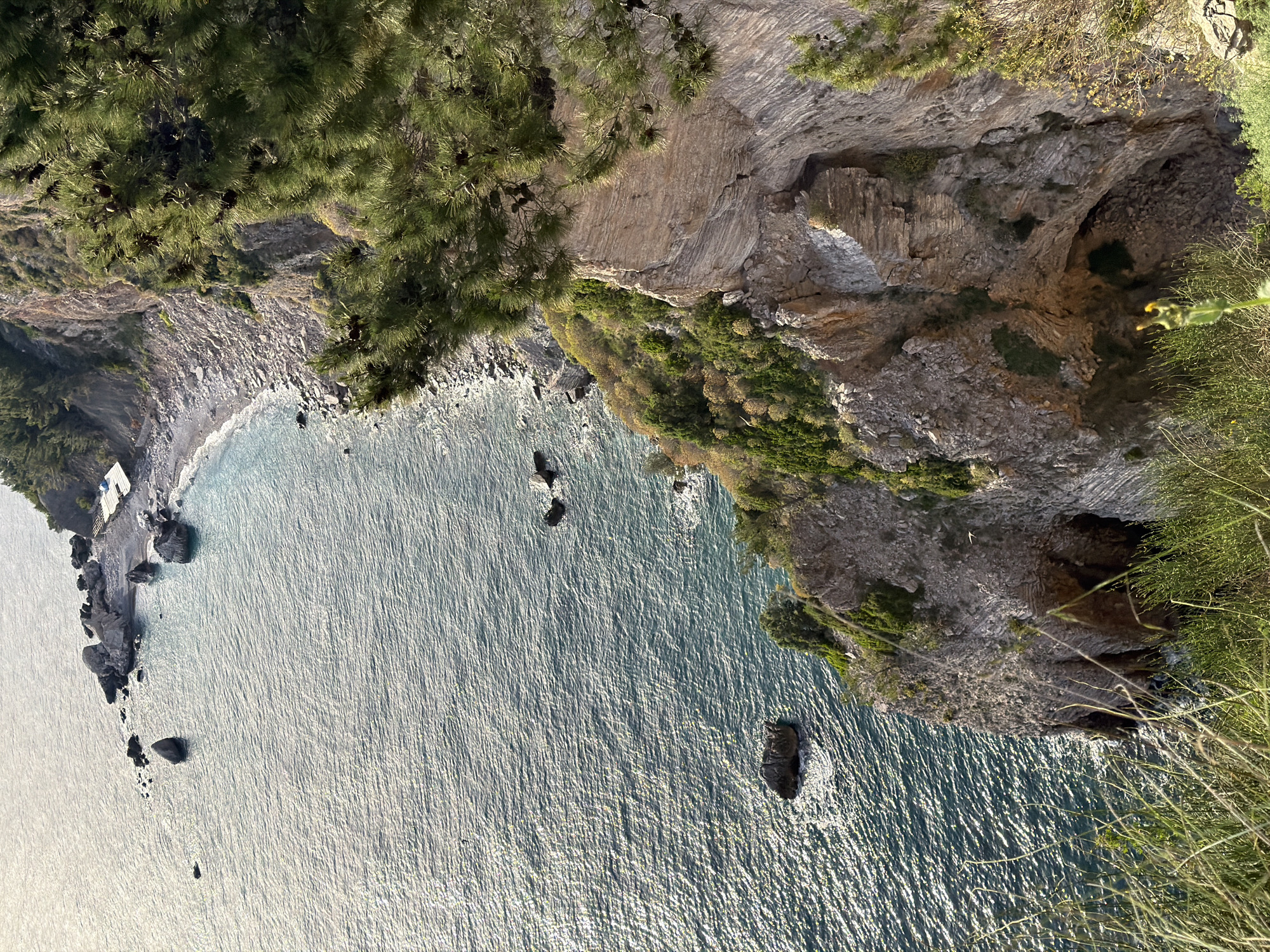 This aerial view captures a section of the Montenegrin coastline, likely near Budva. The image features a rugged cliff face with dense vegetation on the upper portions. Below the cliffs, a small, rocky beach meets the water's edge. The water appears calm, with small waves, and the surface reflects sunlight, creating a shimmering effect. There are also several large rocks or small islets scattered in the water. Some vegetation is seen in the lower right corner, suggesting the perspective is from a high vantage point along the coast. The presence of a small structure on the beach indicates some human presence in this otherwise natural setting.