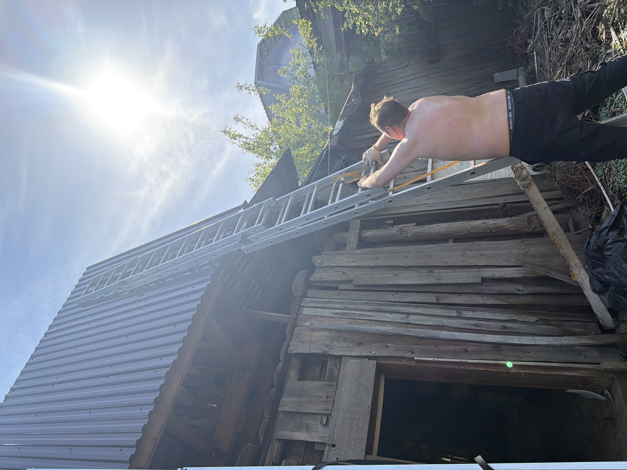A bare-chested man in dark pants stands on a ladder, reaching towards the roof of a wooden structure. The structure has a section covered in gray corrugated metal. The image is taken outdoors on a sunny day with a bright sky. The location appears to be rural, with trees and another building visible in the background. No indication suggests the location is in Perm, Russia.