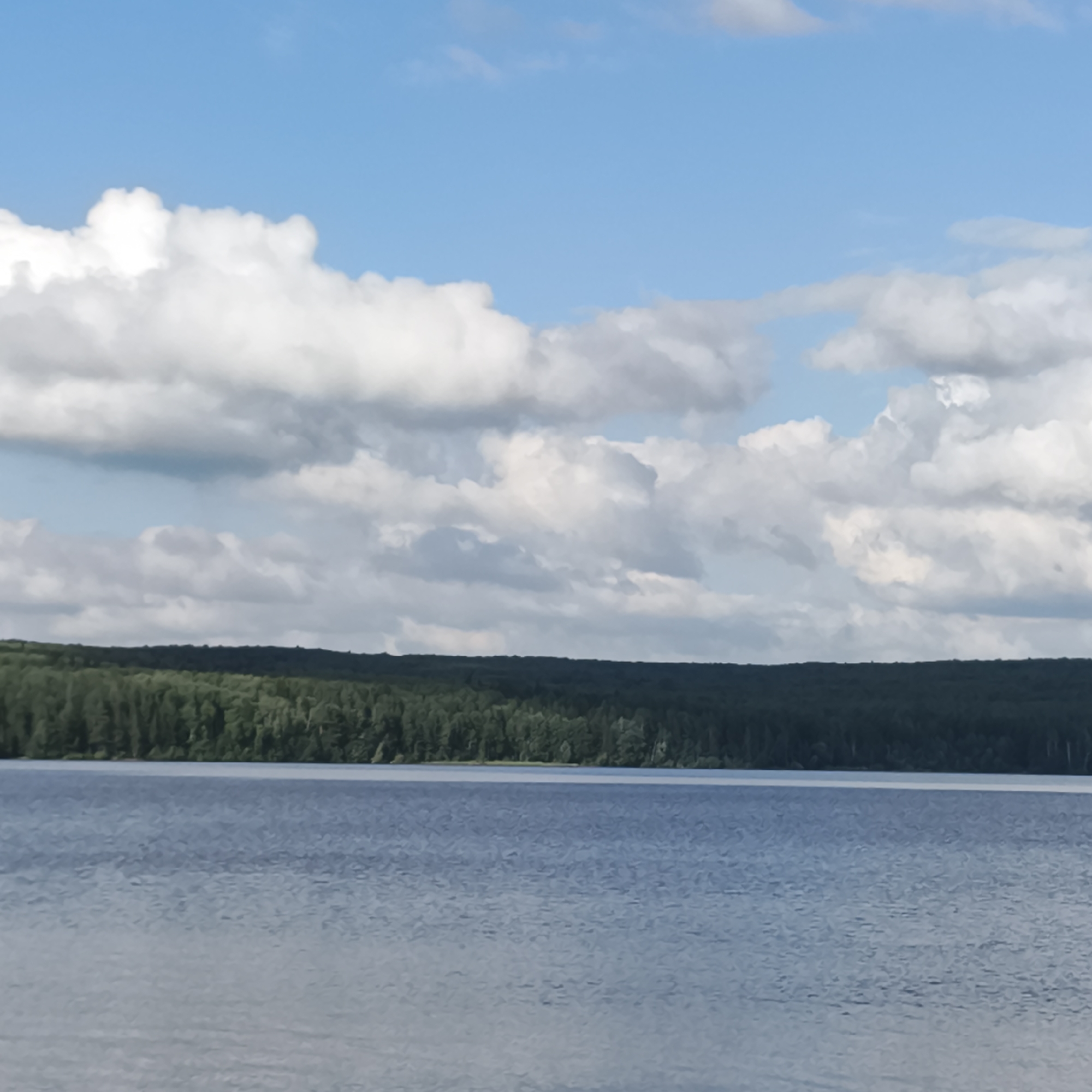 The image depicts a serene natural landscape. The foreground is dominated by a wide expanse of calm, blue water, likely a lake or a large river, with subtle ripples suggesting a gentle breeze. The water transitions from a lighter, more muted blue in the distance to a slightly darker shade closer to the viewer.
The middle ground features a dense, dark green forest that stretches horizontally across the frame, forming a stark, unbroken line of trees. The foliage appears lush and varied, with individual tree tops visible but blended together to create a solid band of green. This forest likely borders the body of water.
The upper portion of the image showcases a bright blue sky populated with large, fluffy white and grey clouds. The clouds are dramatic and voluminous, casting shadows and creating a sense of depth and texture in the sky. The sunlight filtering through the clouds suggests it is daytime, likely late morning or afternoon, given the brightness and the shadows cast.
There are no people or man-made objects visible in the scene. The overall impression is one of tranquility and natural beauty, characteristic of a peaceful day in a rural or wilderness setting. The location context provided, Chaikovsky, Russia, points to a possible setting in this region known for its natural landscapes. The weather appears to be pleasant, with a mix of sun and clouds. No text is visible in the image.