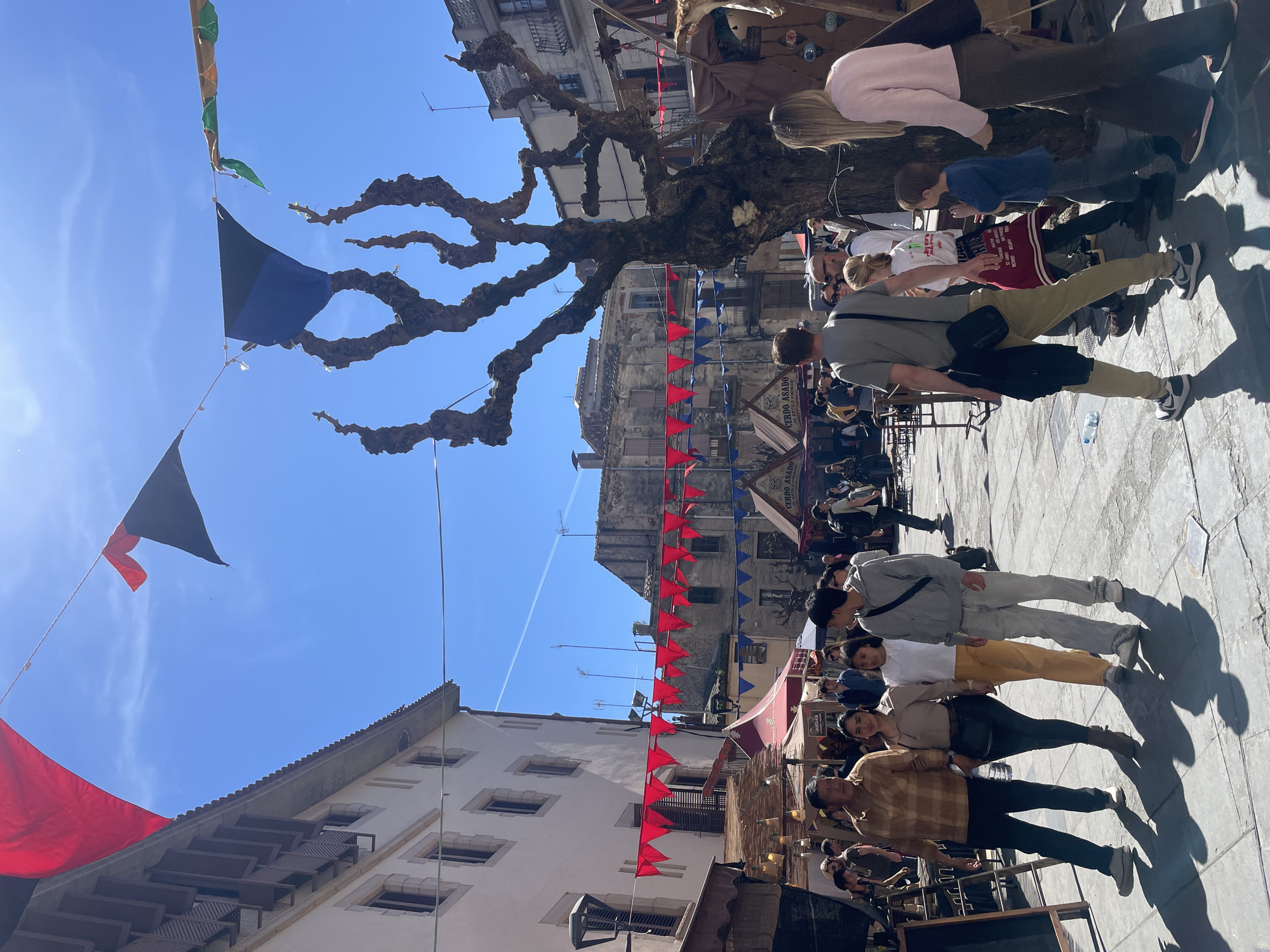 The image depicts an outdoor scene in Hostalric, Spain, characterized by a medieval festival atmosphere. A paved square is populated with people walking and standing, suggesting an event is taking place. The architecture consists of old buildings, some adorned with red triangular flags strung across the square. A large, bare tree with gnarled branches is a central feature, casting shadows on the ground. Banners of various colors, including black and blue, are suspended between buildings. People are casually dressed, and market stalls or stands are visible along the sides of the square. The scene is well-lit, indicating a sunny day.