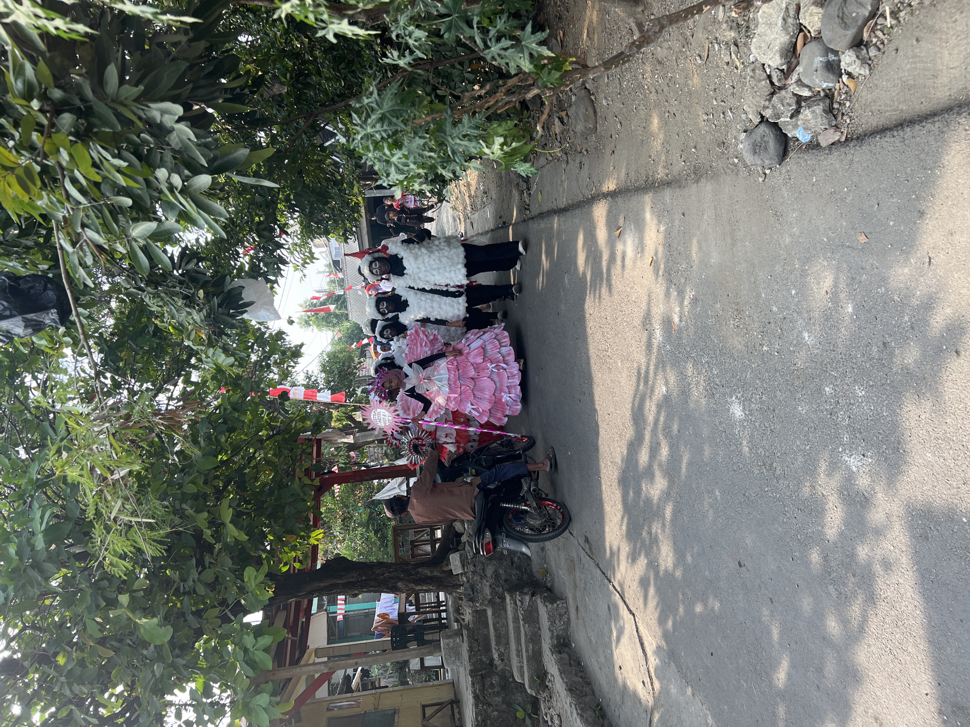 In Klapanunggal, Indonesia, a street procession is underway. A man on a motorcycle, wearing a brown long-sleeved shirt and blue pants, leads a group of individuals in costumes. Several participants are dressed in white, fluffy outfits with black face paint and hats, resembling sheep. Another individual wears an elaborate pink, layered dress and a headdress. They are walking down a paved street lined with trees and some buildings. Indonesian flags are visible in the background, suggesting a festive or patriotic event. The ground is a mix of asphalt and dirt, with scattered stones along the side of the road. Sunlight casts shadows from the trees onto the street.