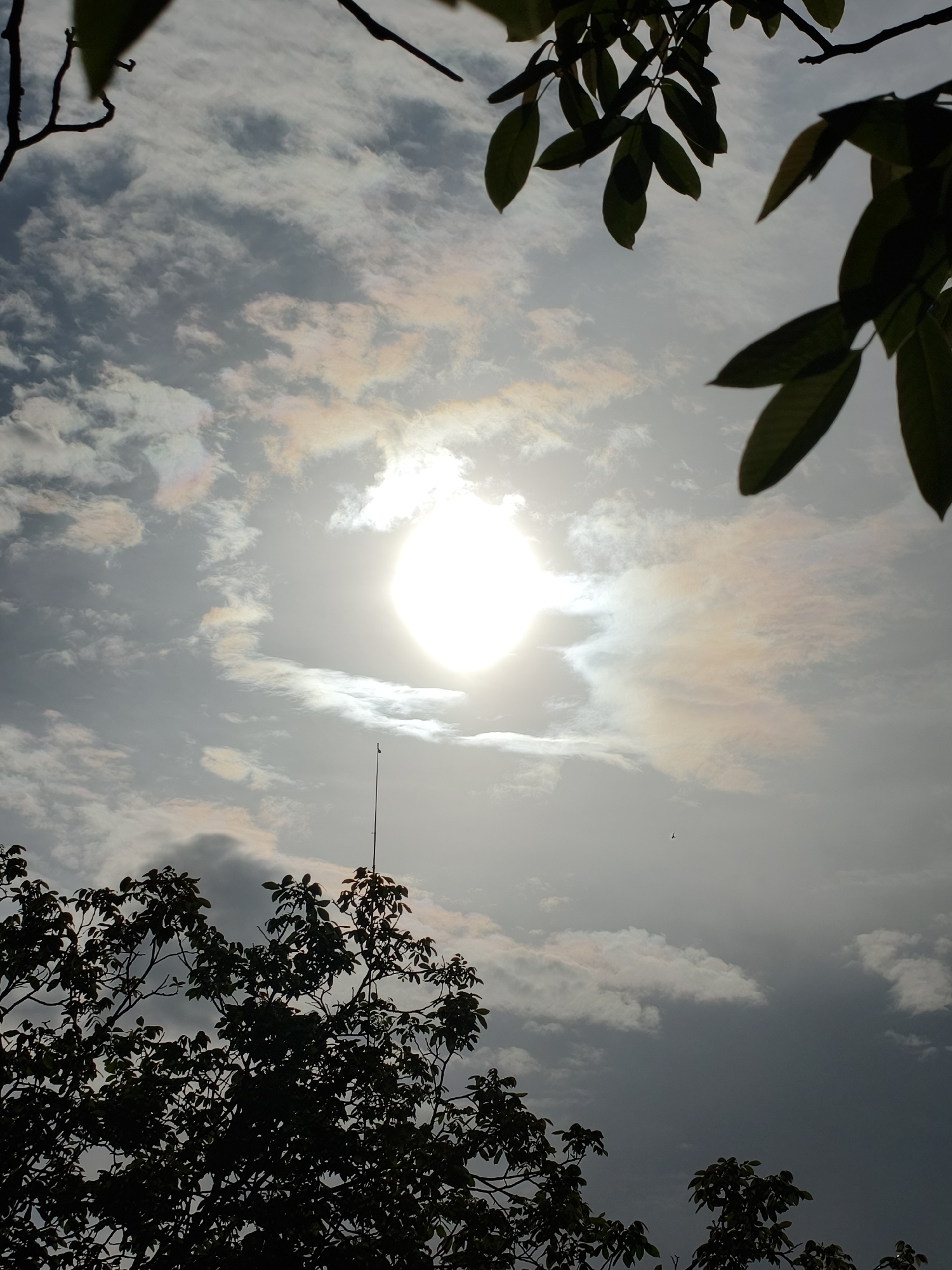 The image depicts a view towards the sky, partially framed by tree foliage. The sun, a bright, circular orb, is positioned near the center of the frame and is surrounded by clouds. Some of the clouds exhibit iridescence, displaying rainbow-like colors. A thin antenna is visible extending upwards from the lower central area. A bird is also present near the center of the frame. The trees are in the foreground, with their leaves appearing as silhouettes against the bright sky. The location is Kryvyi Rih, Ukraine.