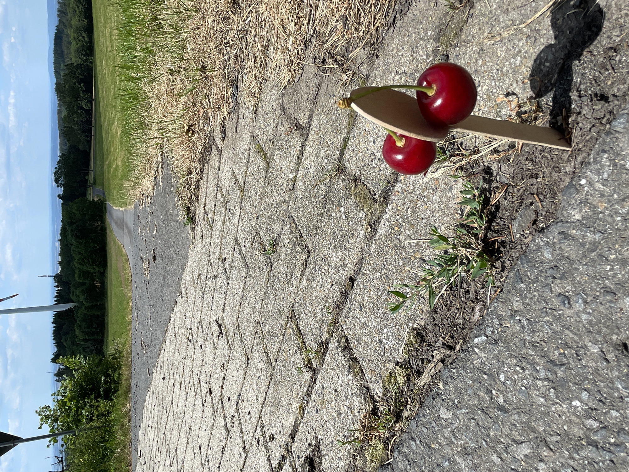 In Schwarzenborn, Germany, a paved path with concrete pavers meets an asphalt surface. Two ripe cherries are skewered onto a thin wooden stick, which is planted in the ground at the edge of the asphalt. Beyond the path, a mown grassy field stretches towards a line of trees. In the distance, rolling hills and a hazy sky are visible. A wind turbine stands prominently in the background.