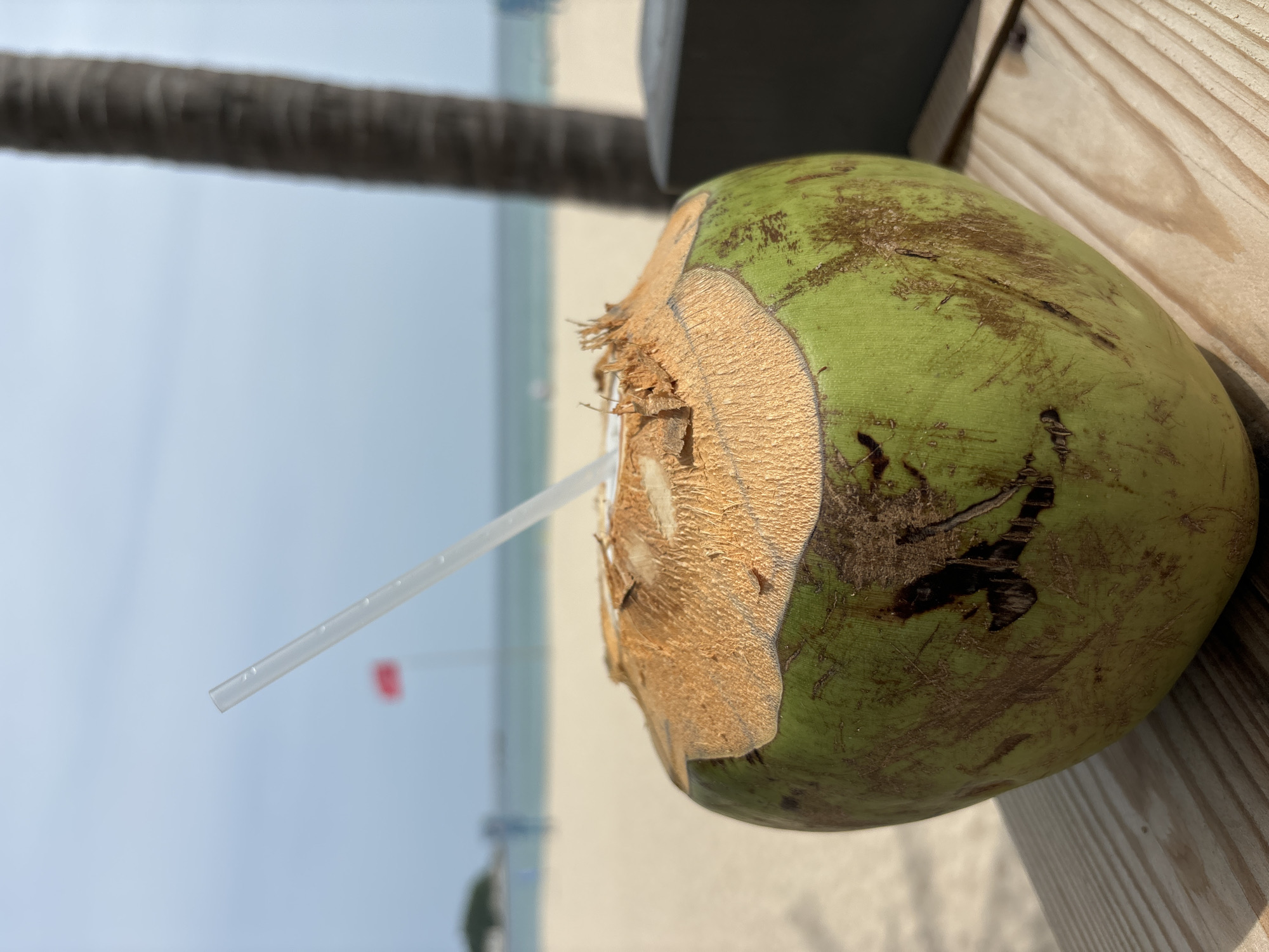 A whole green coconut with a straw is placed on a wooden surface in the foreground. The coconut is partially opened at the top, revealing the fibrous husk. In the background, a sandy beach meets the ocean under a hazy sky. A red flag is visible in the distance on the beach. A palm tree trunk is on the right side of the image. The scene suggests a tropical or beachside setting, possibly in a location like Jiyang District, China, known for its coastal areas.