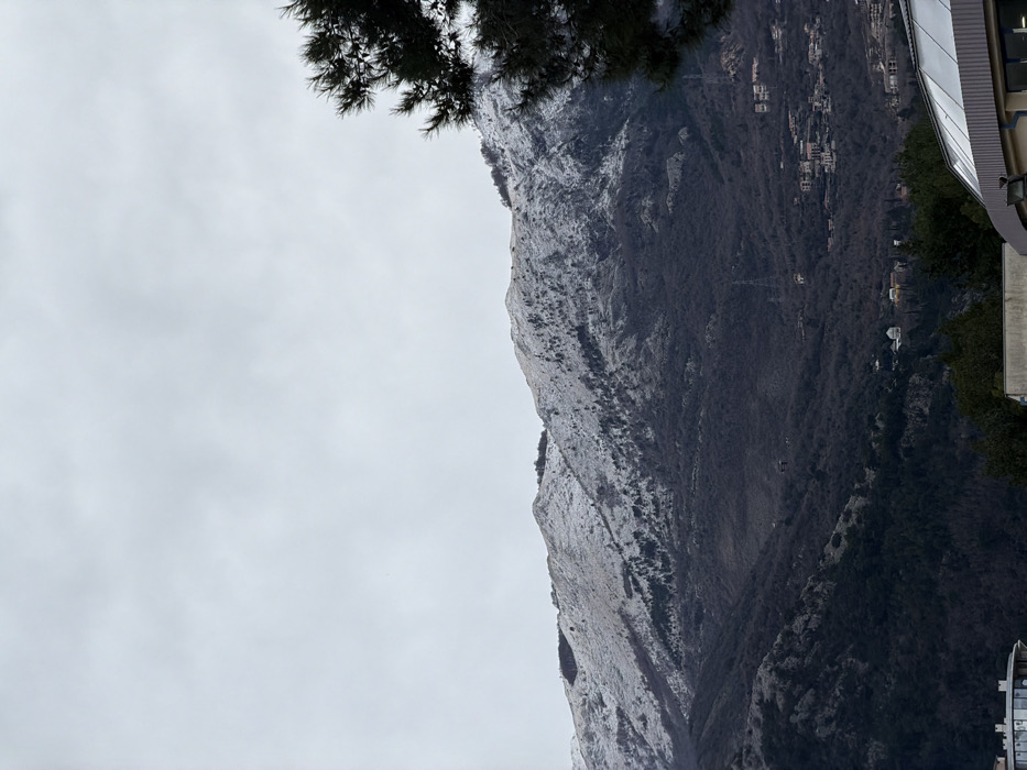 A landscape displays a steep, rugged mountain partially covered in snow. The sky is overcast and grey. The mountain's vegetation is dense, predominantly dark green and brown trees. A cable car system is visible with its wires stretching across the landscape. There are buildings nestled among the trees on the mountain. A modern building with glass and concrete is on the right. A dark, leafy tree branch is at the top left.