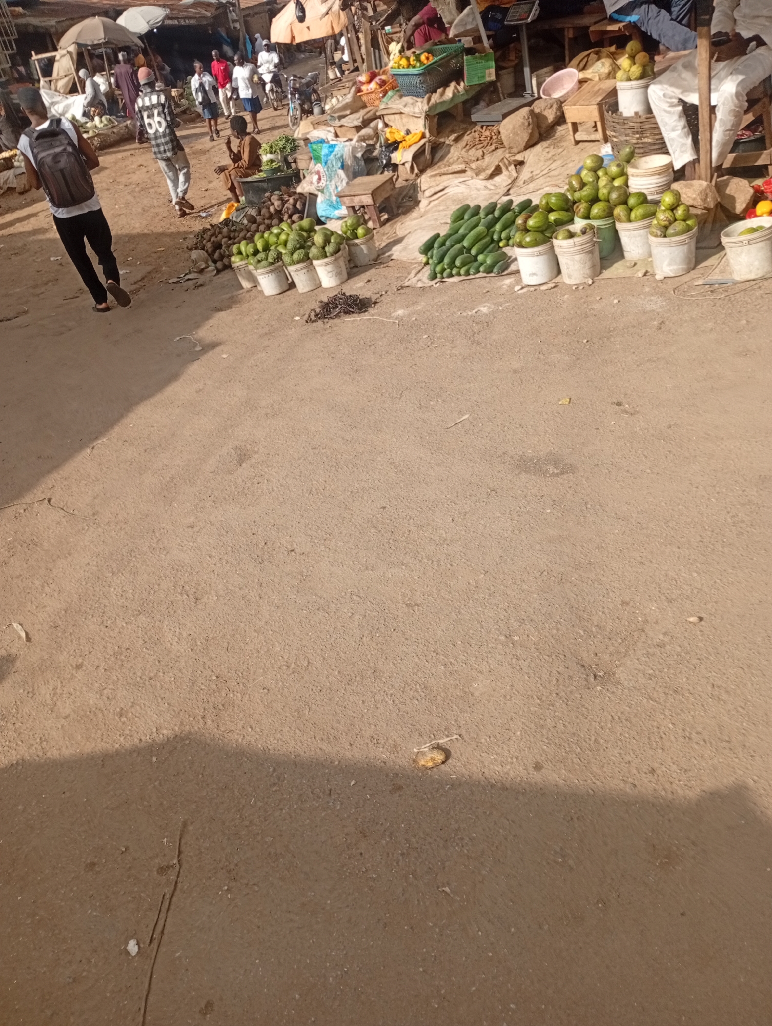 A dusty, open-air market scene in Rafin Par, Nigeria. In the foreground, a young Black man wearing a black t-shirt, black pants, and a black backpack walks away from the camera. To his left and slightly behind him, a man in a white t-shirt and grey pants with a black and white checkered shirt draped over his shoulders walks toward the center of the frame. A woman in a brown garment sits behind a display of avocados in white buckets. The market stalls in the background are made of corrugated metal and canvas awnings. Various produce, including avocados, cucumbers, and what appear to be yams, are displayed in buckets and piles. Several individuals, dressed in everyday clothing, are seen browsing and interacting within the market. A motorcycle is parked on the right side of the frame. The ground is a mixture of compacted dirt and gravel.