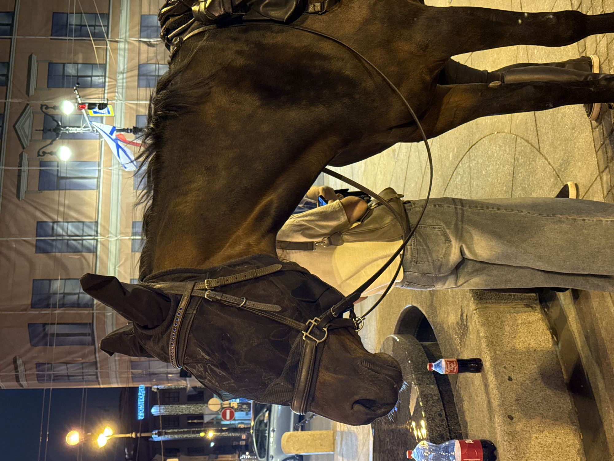 In Saint Petersburg, Russia, a dark brown horse wearing a black fly mask and bridle stands near a stone fountain at night. Two bottles of Coca-Cola are visible on the edge of the fountain. A person, partially obscured, wearing denim jeans and a light-colored shirt, stands next to the horse, holding a smartphone. In the background, a building is covered in scaffolding and a large banner. Streetlights illuminate the scene, casting a warm glow on the surroundings. A flag, possibly the naval ensign of Russia, is visible on a pole in the distance. Traffic signals and street signs are also present.